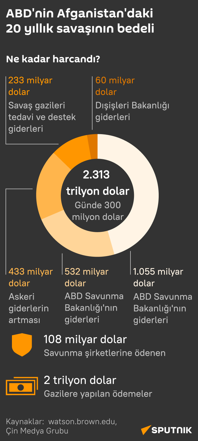 İnfografik Afganistan 20 yıllık savaşı - Sputnik Türkiye