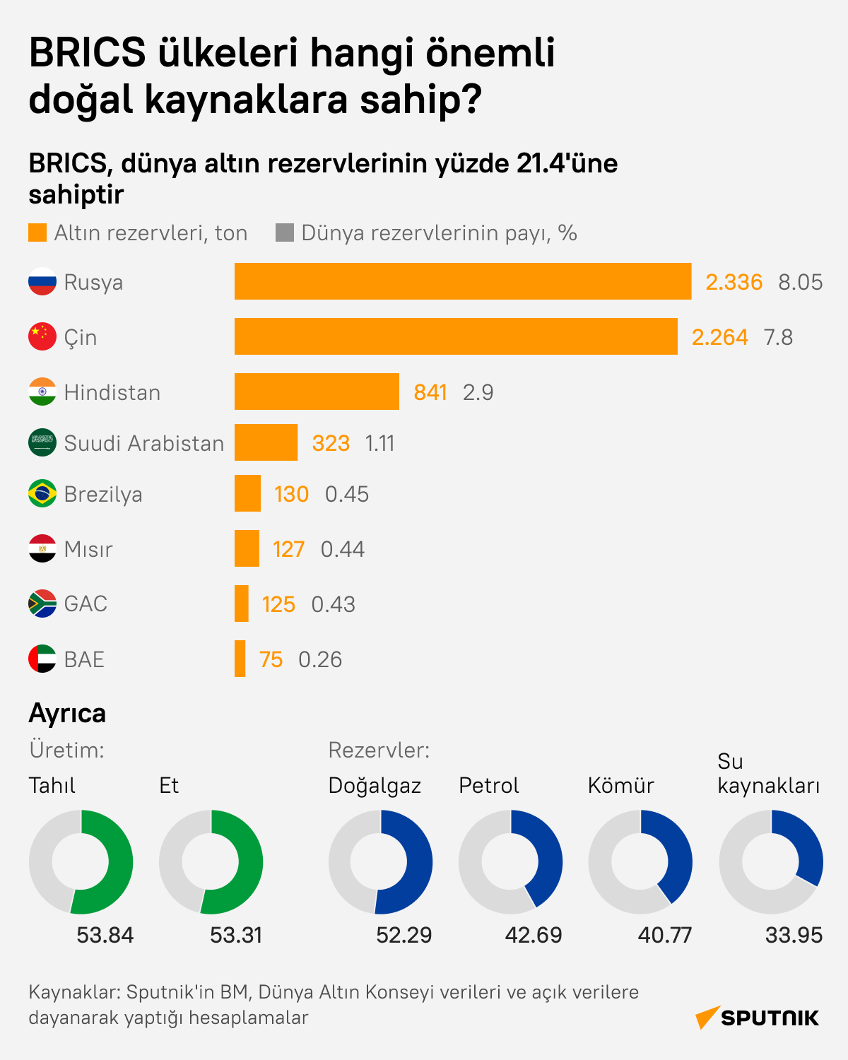 BRICS ülkeleri hangi önemli doğal kaynaklara sahip? - Sputnik Türkiye