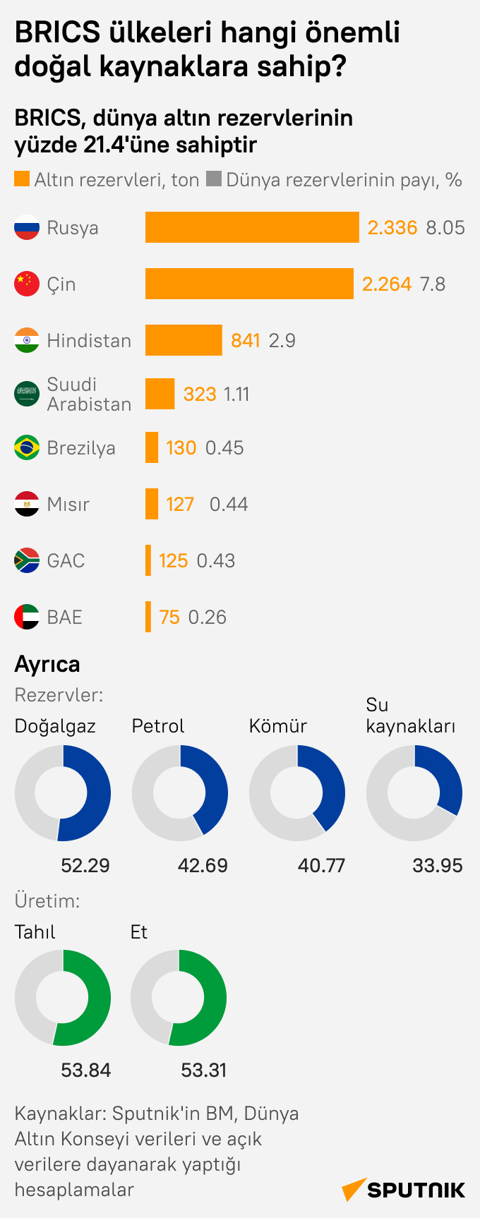 BRICS ülkeleri hangi önemli doğal kaynaklara sahip? - Sputnik Türkiye