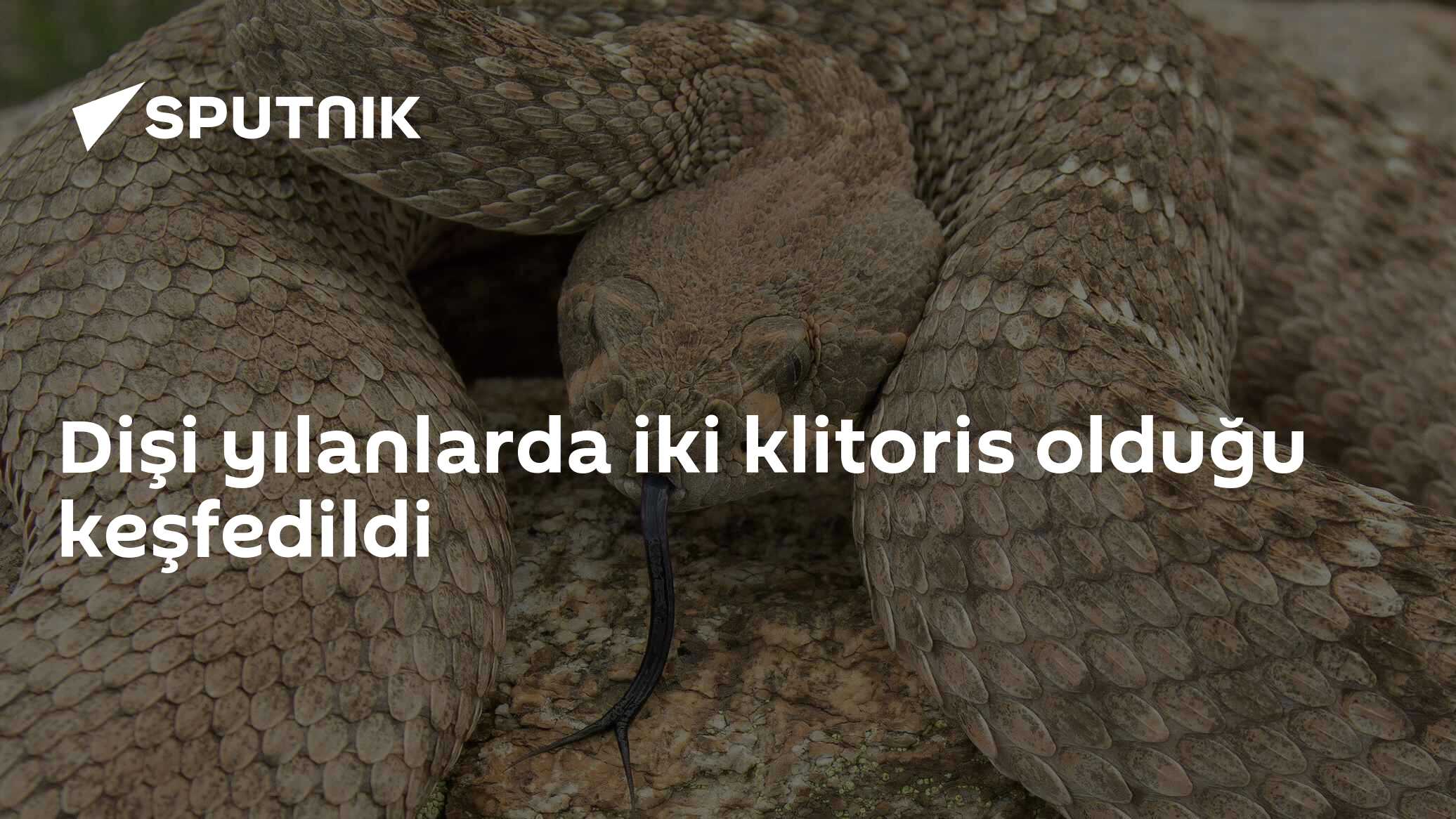 Jinsiy aloqada qiz hukmronlik qiladi