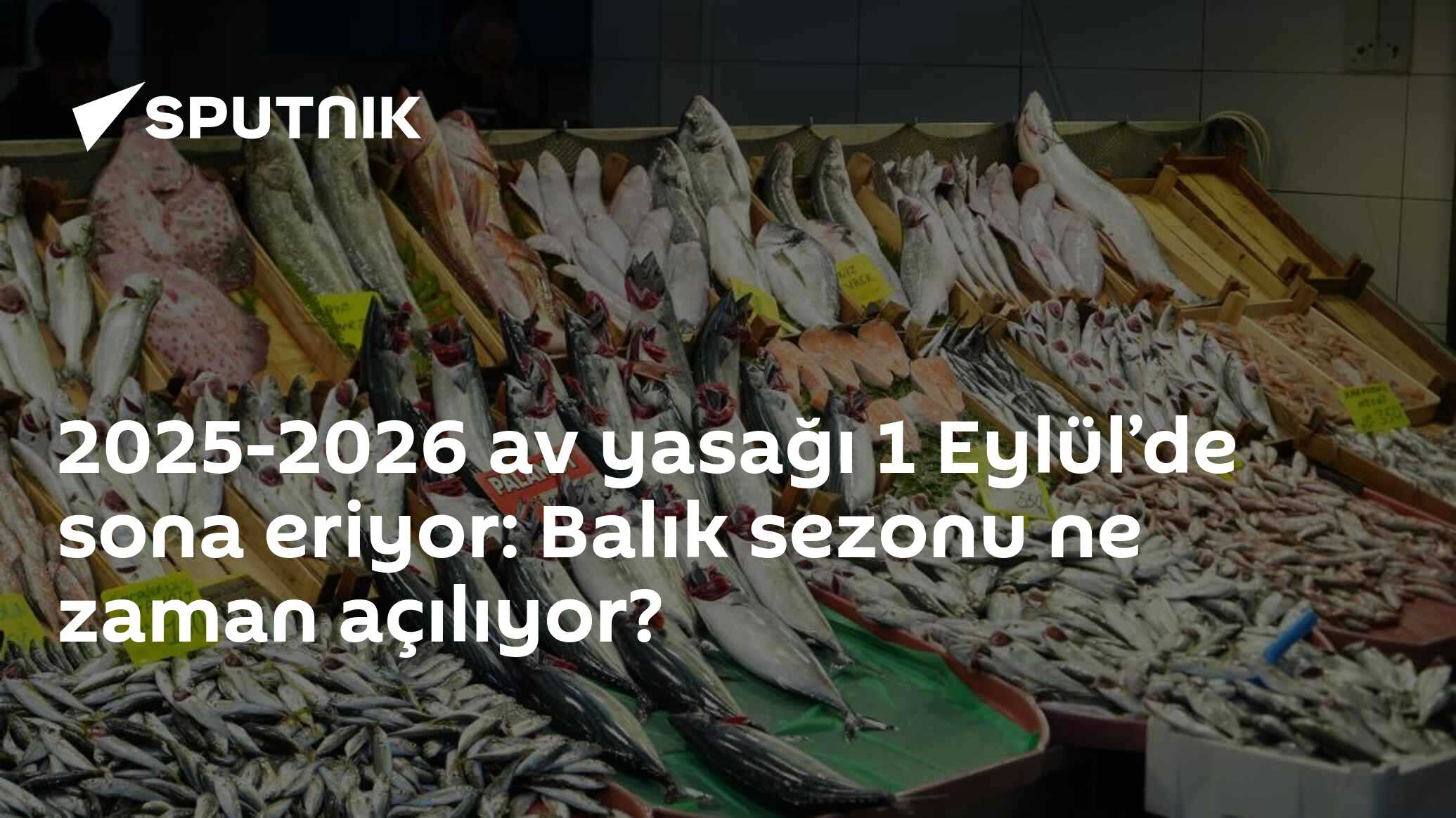 2025-2026 av yasağı 1 Eylül’de sona eriyor: Balık sezonu ne zaman açılıyor?