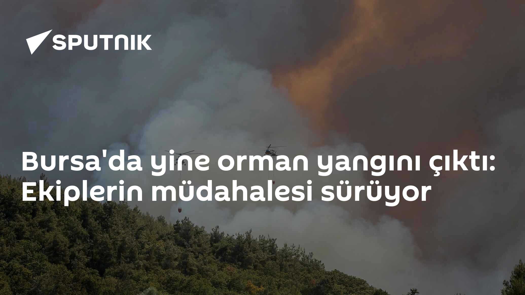 Bursa'da yine orman yangını çıktı: Ekiplerin müdahalesi sürüyor