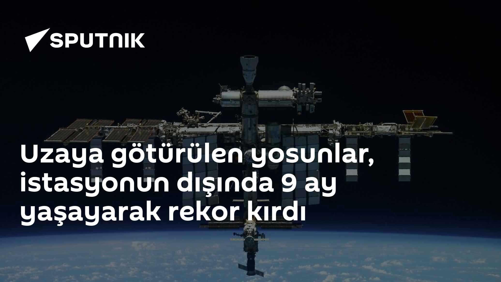 Uzaya götürülen yosunlar, istasyonun dışında 9 ay yaşayarak rekor kırdı