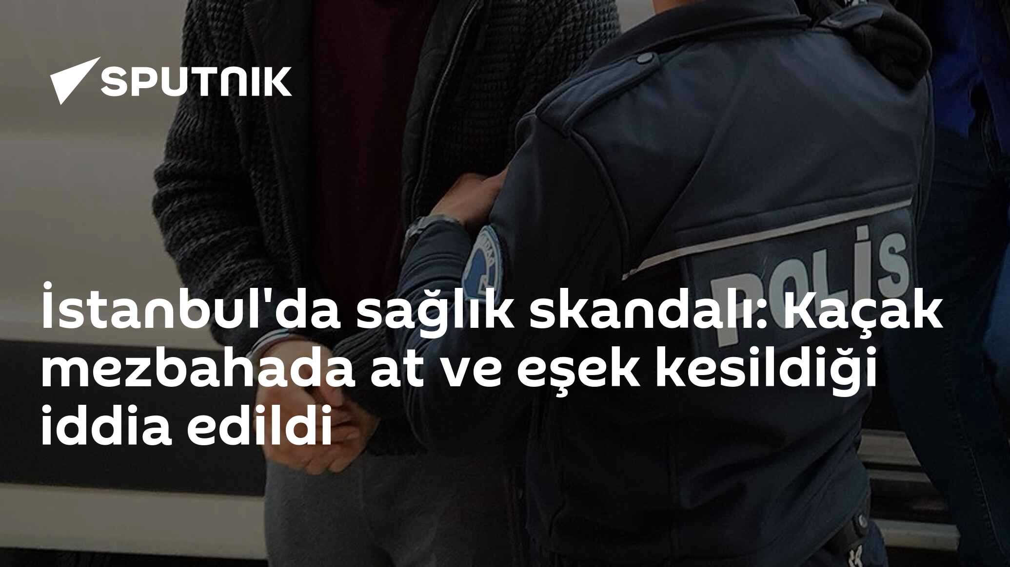 İstanbul'da sağlık skandalı: Kaçak mezbahada at ve eşek kesildiği iddia edildi