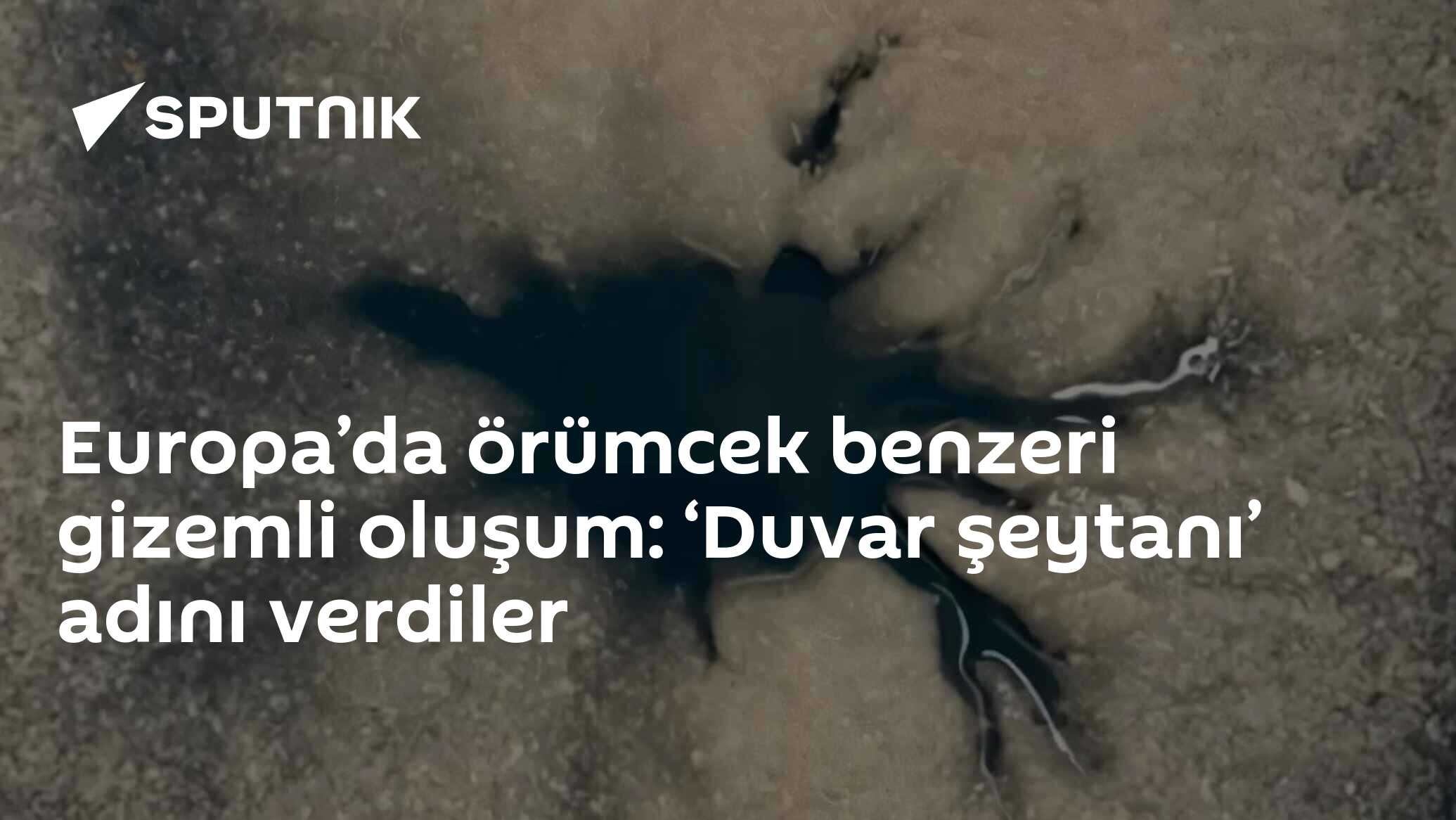 Europa’da örümcek benzeri gizemli oluşum: ‘Duvar şeytanı’ adını verdiler