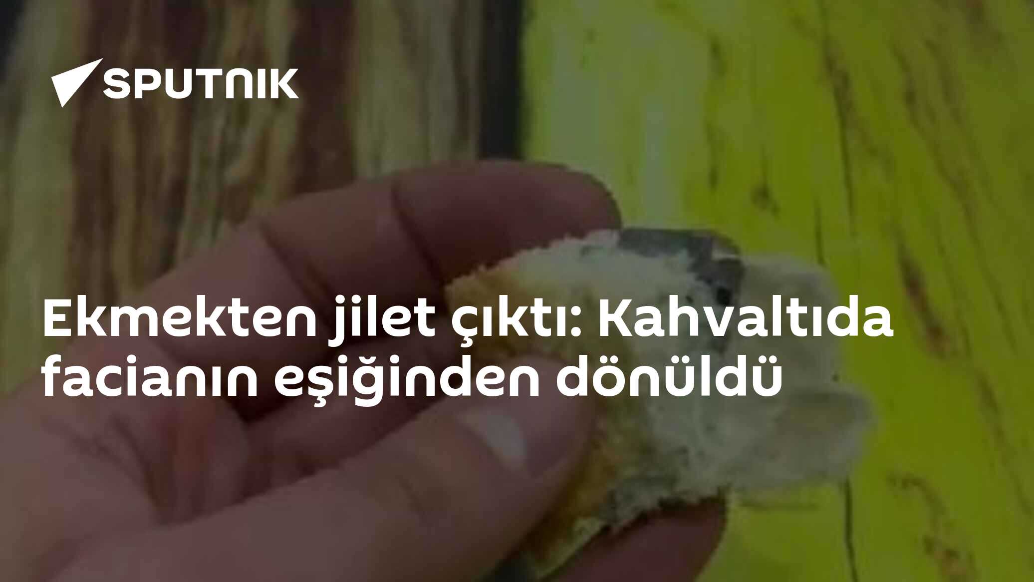 Ekmekten jilet çıktı: Kahvaltıda facianın eşiğinden dönüldü