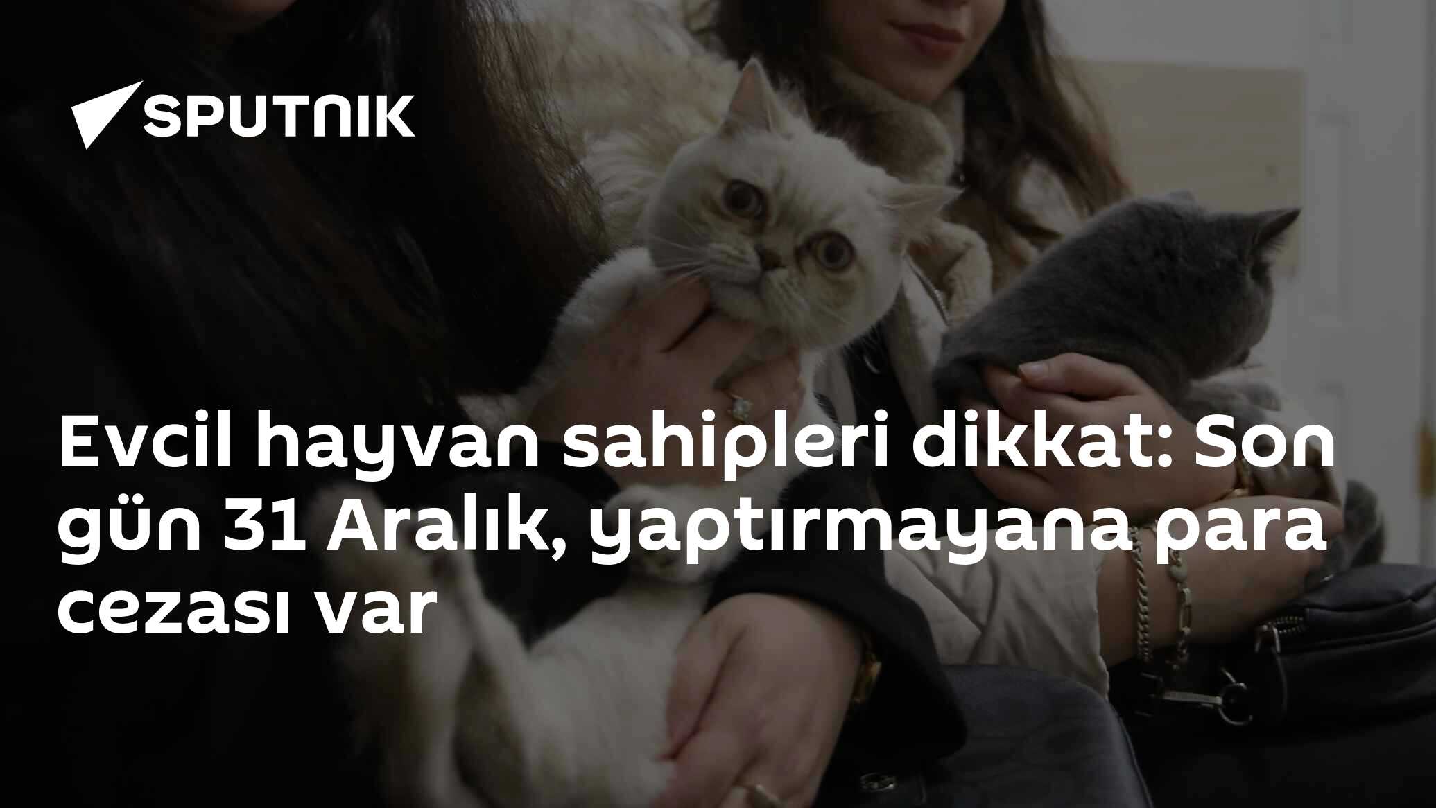 Evcil hayvan sahipleri dikkat: Son gün 31 Aralık, yaptırmayana para cezası var