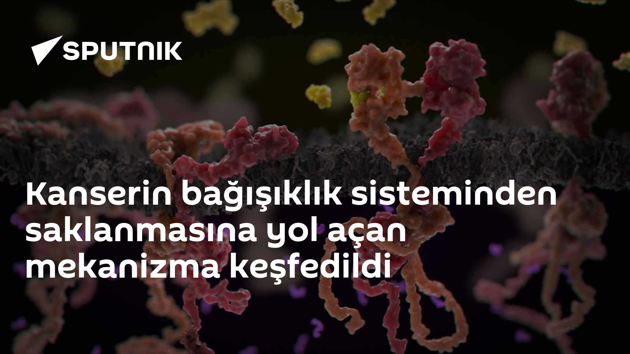Kanserin Bağışıklık Sisteminde Saklanma Mekanizması Keşfedildi