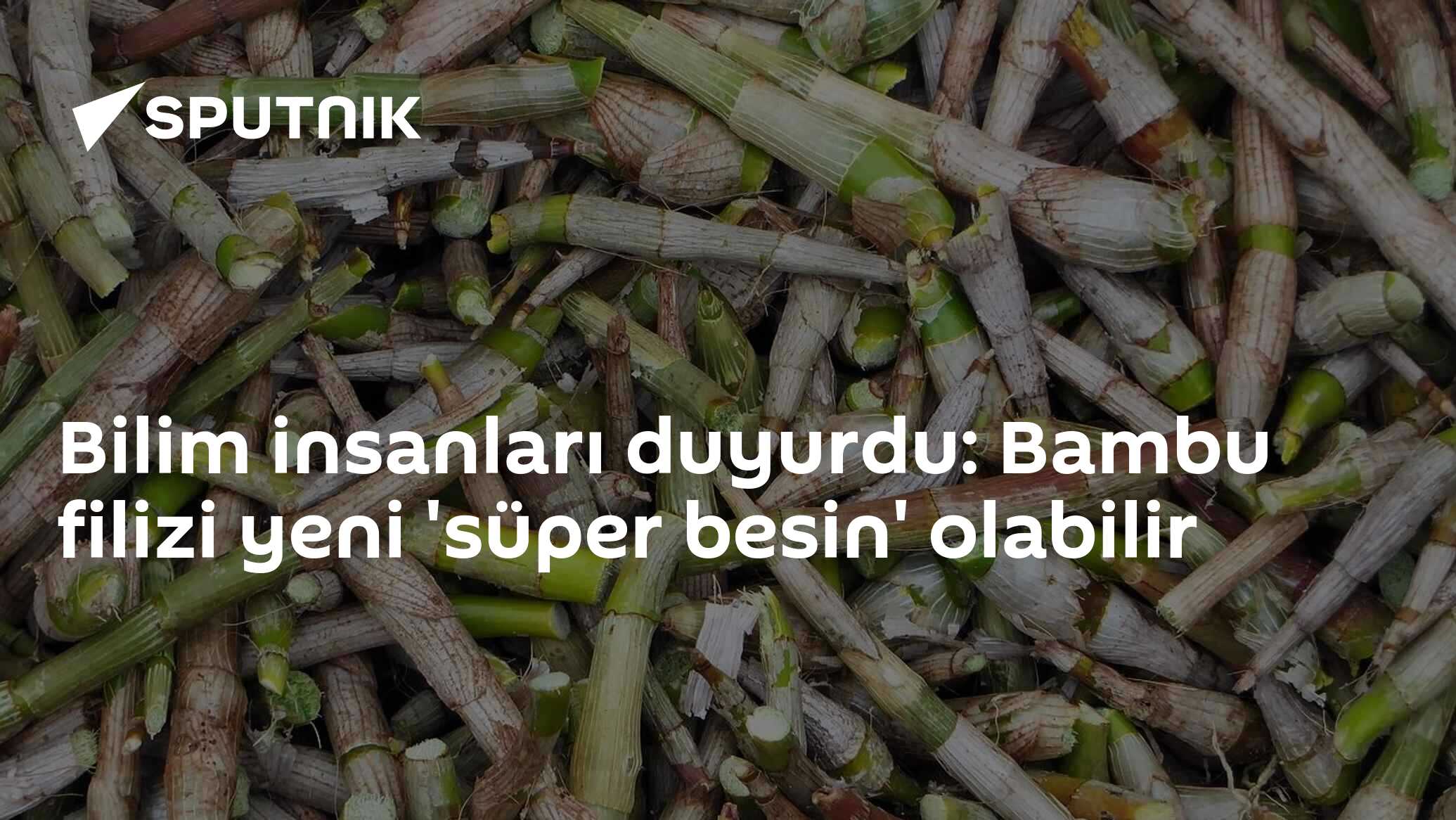 Bambu Filizleri: Yeni 'Süper Besin' Olabilir