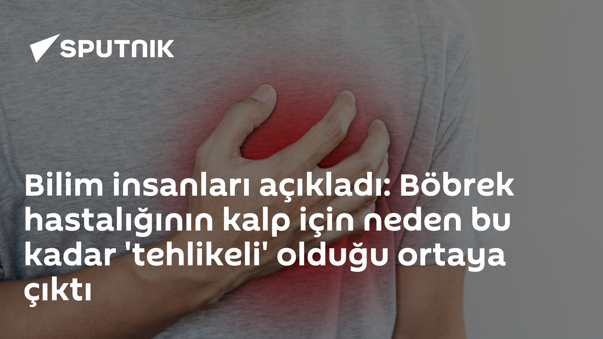 Böbrek Hastalığı ve Kalp Sorunları: Mikroskobik Parçacıkların Rolü