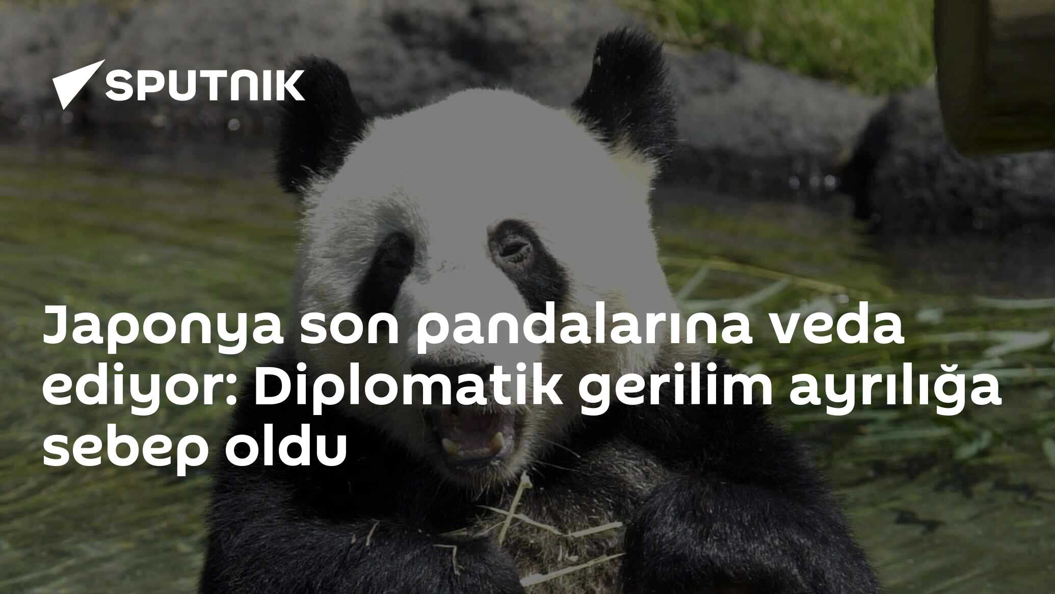 Japonya'nın Son Pandalarına Veda Ediyor