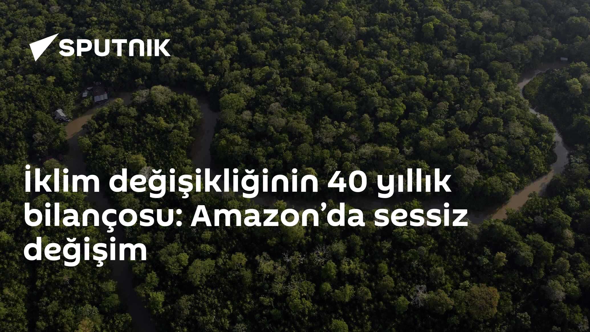 İklim değişikliğinin 40 yıllık bilançosu: Amazon’da sessiz değişim