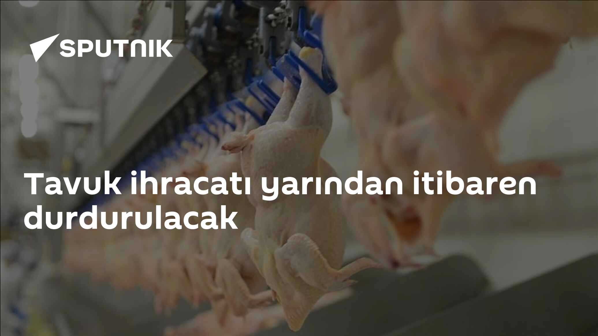 Tavuk İhracatı Durdurulması: Kararın Etkileri ve Sebepleri