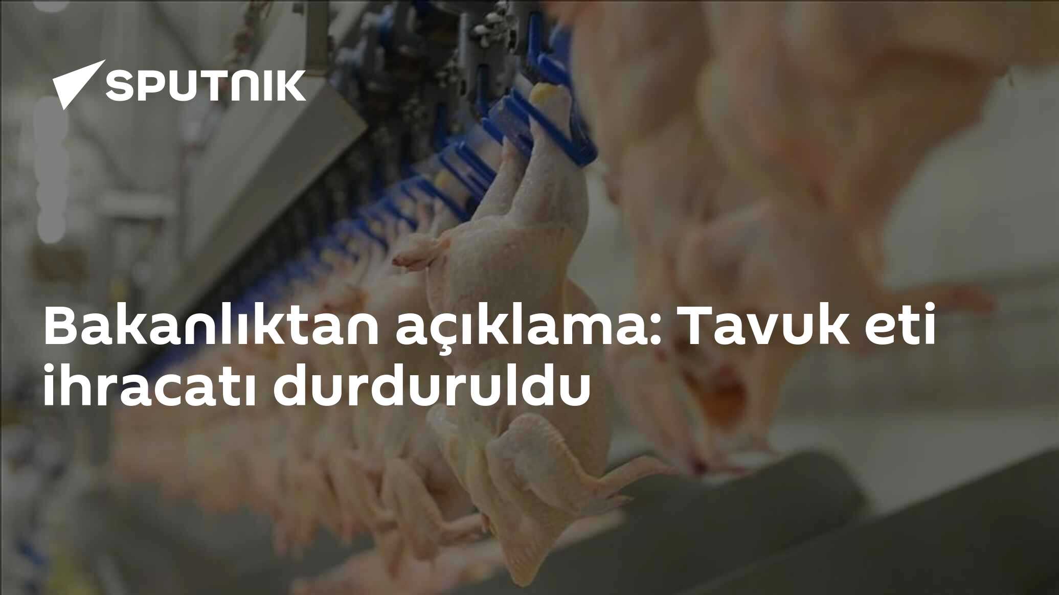 Tavuk Et İhracatı Durdurma Kararı - Ticaret Bakanlığı'nın En Son Durum