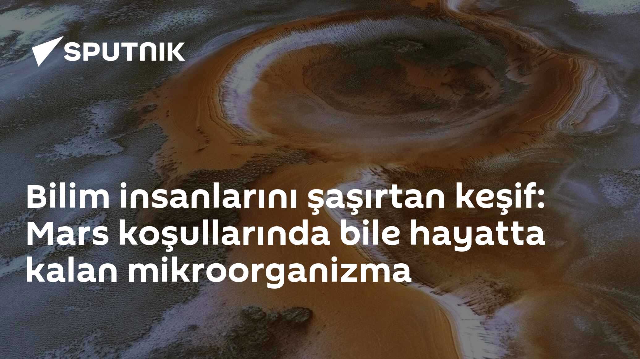 Mars Koşullarında Hayatta Kalan Mikroorganizma: Ekmek Mayası