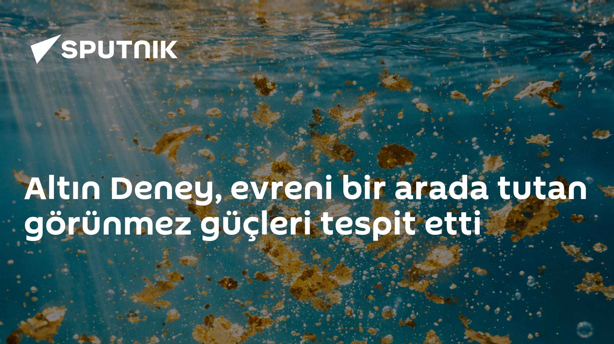 'Doğanın Görünmez Yapıştırıcısı' Tespit Edildi - Bugun TR