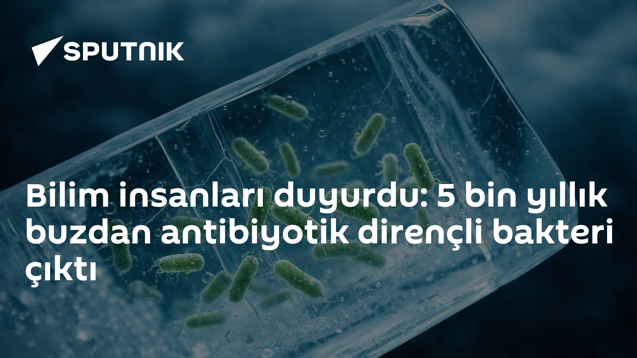Bilim insanları duyurdu: 5 bin yıllık buzdan antibiyotik dirençli bakteri çıktı