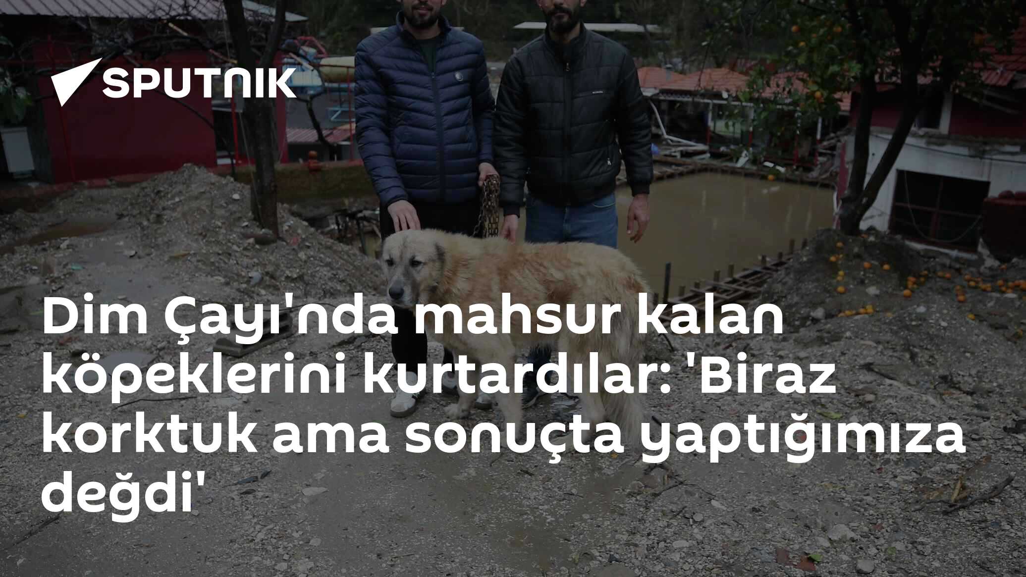 Dim Çayı'nda mahsur kalan köpeklerini kurtardılar: 'Biraz korktuk ama sonuçta yaptığımıza değdi'