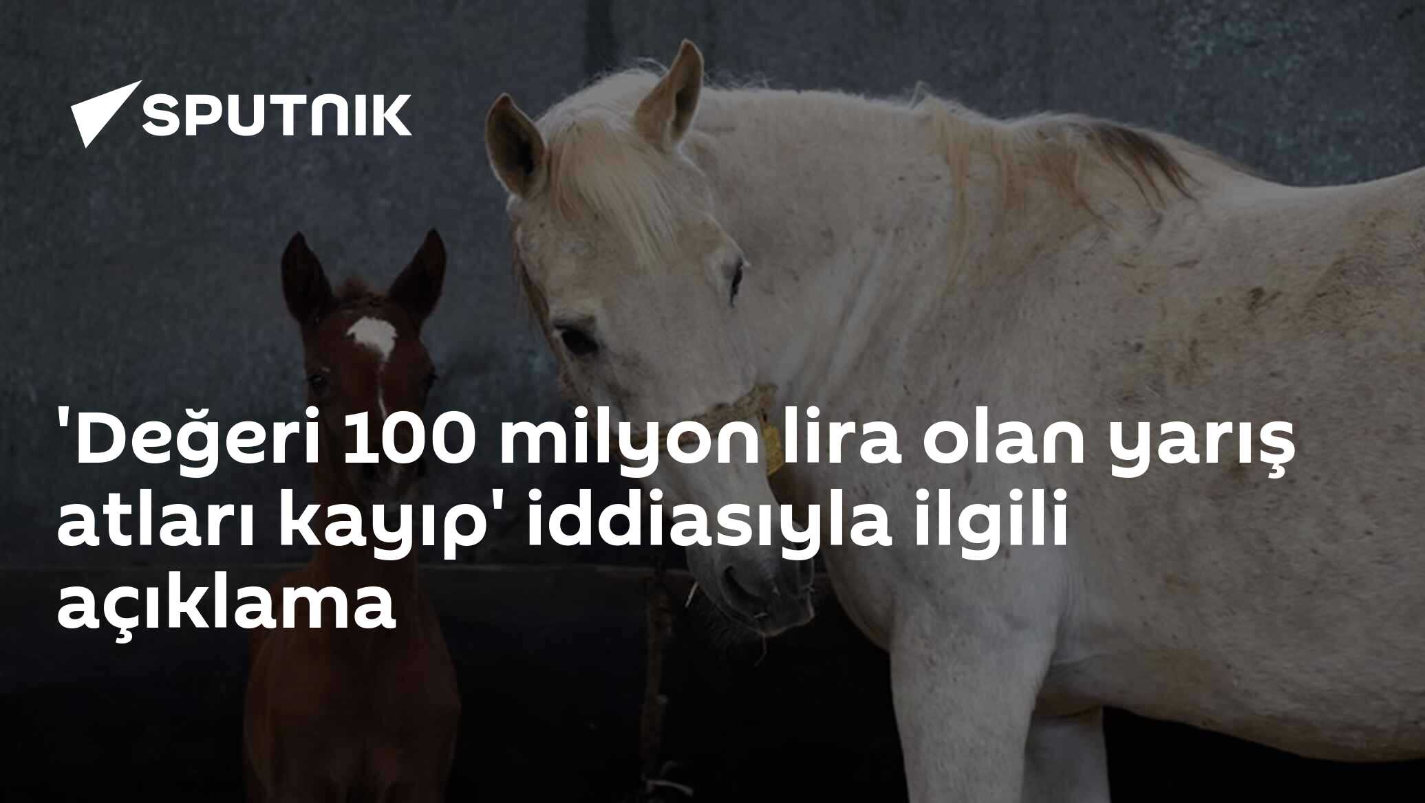 'Değeri 100 milyon lira olan yarış atları kayıp' iddiasıyla ilgili açıklama