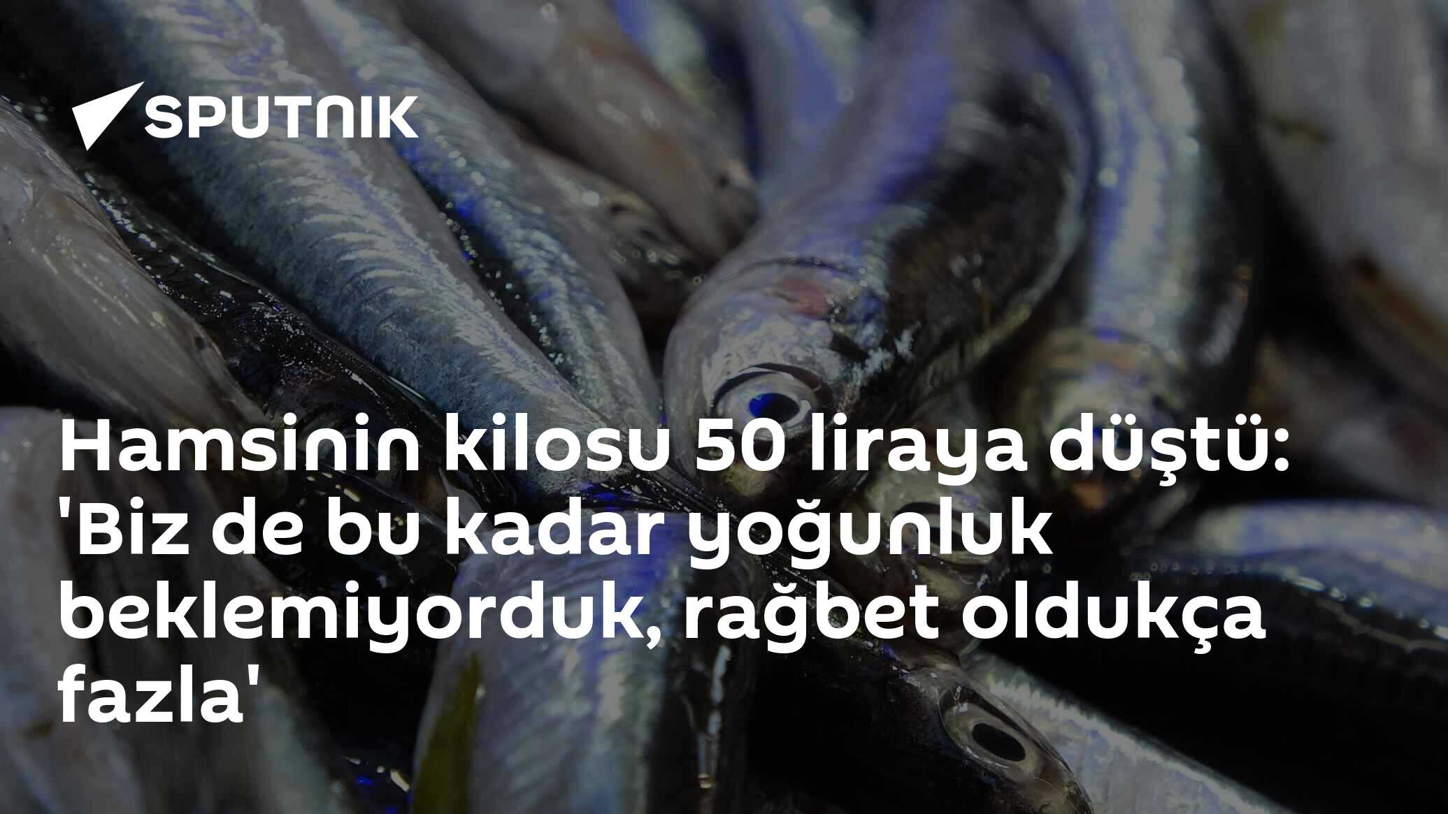 Hamsinin kilosu 50 liraya düştü: 'Biz de bu kadar yoğunluk beklemiyorduk, rağbet oldukça fazla'