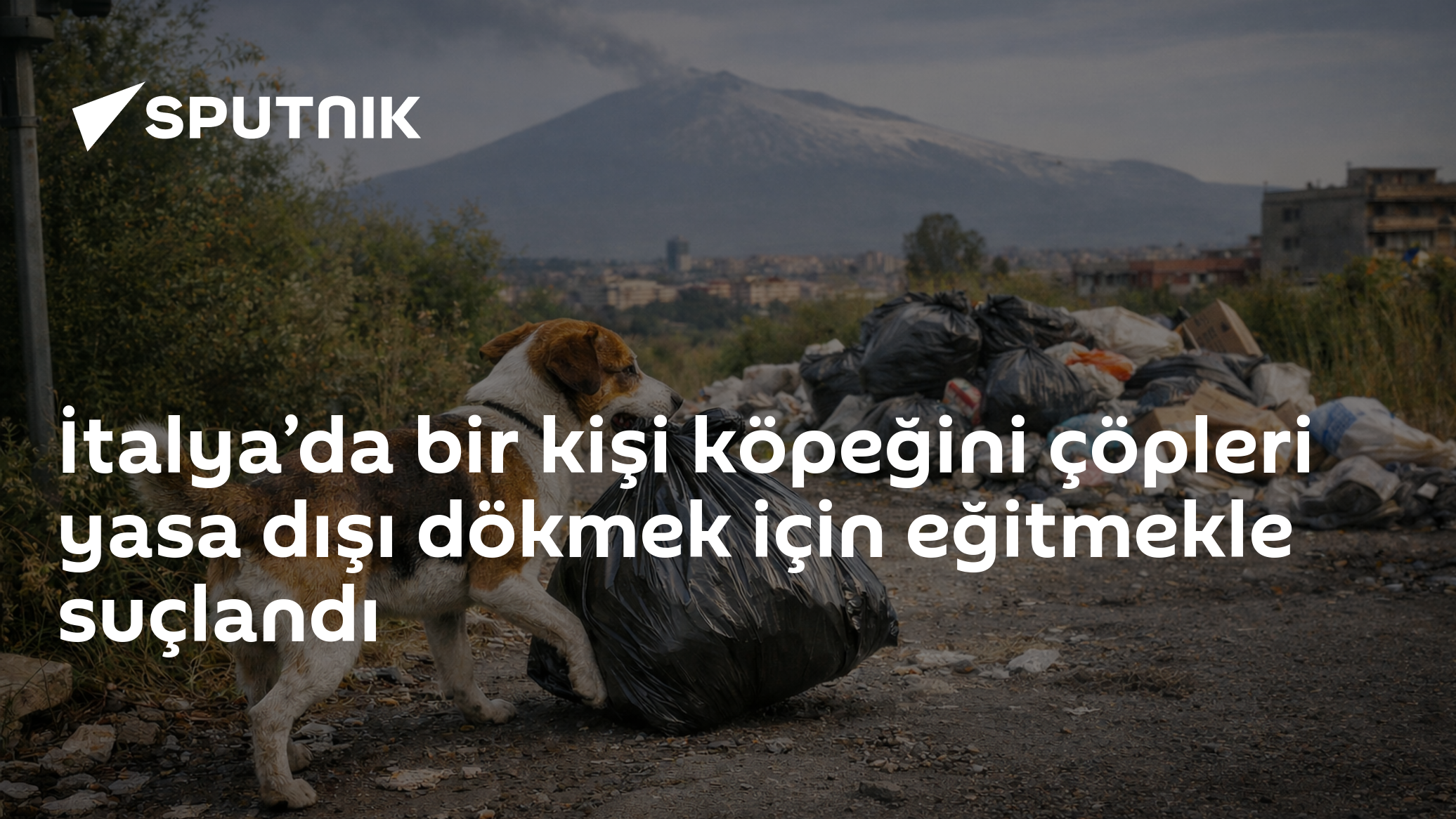 İtalya’da bir kişi köpeğini çöpleri yasa dışı dökmek için eğitmekle suçlandı