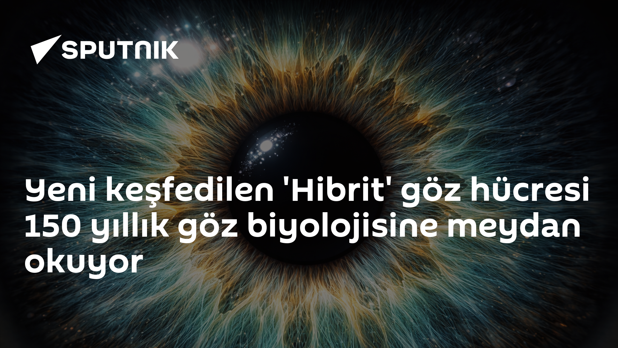 'Hibrit Görü Hücresinin Keşfi Omurgalılarda Yeni Bir Döngüyü Getiriyor'