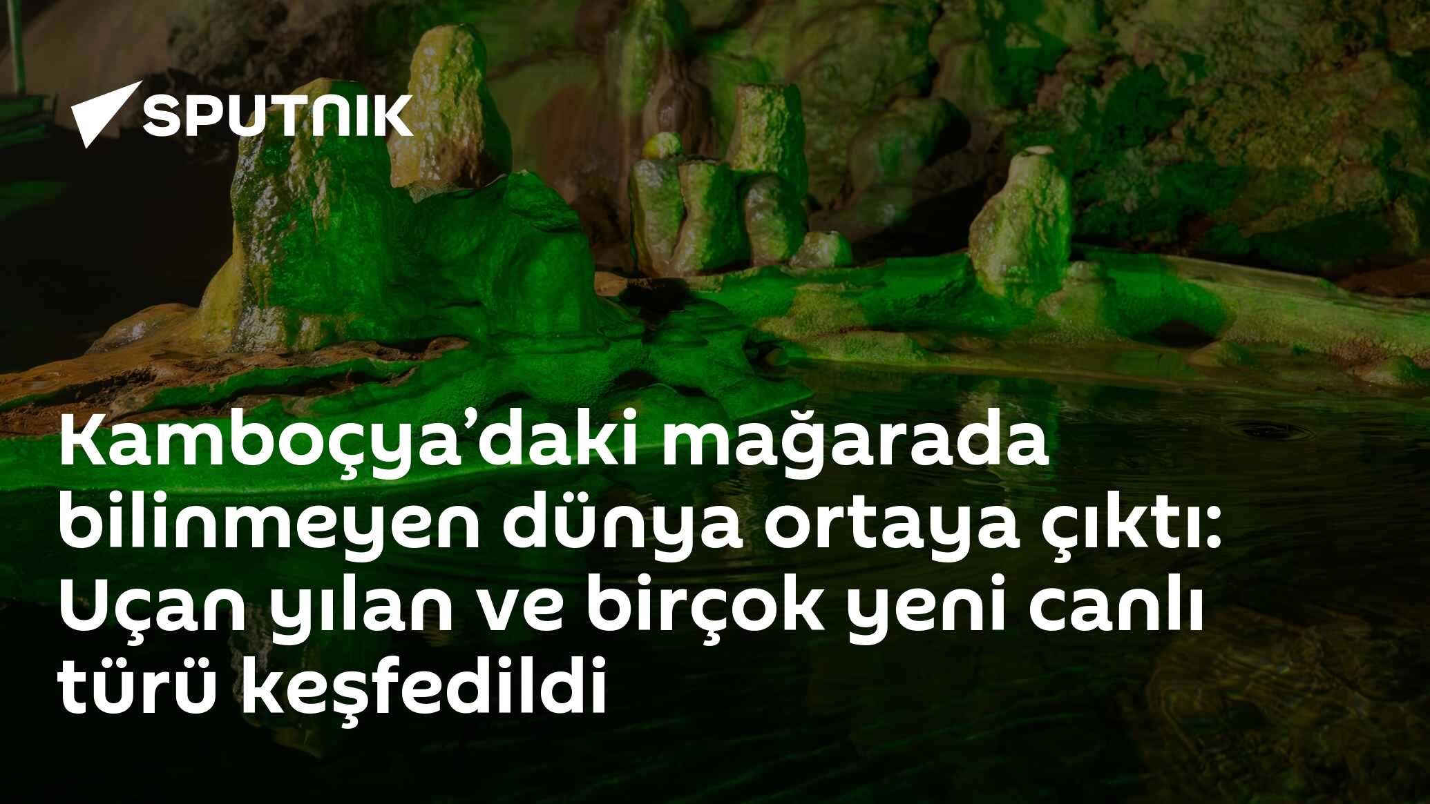 Kamboçya’daki mağarada bilinmeyen dünya ortaya çıktı: Uçan yılan ve birçok yeni canlı türü keşfedildi