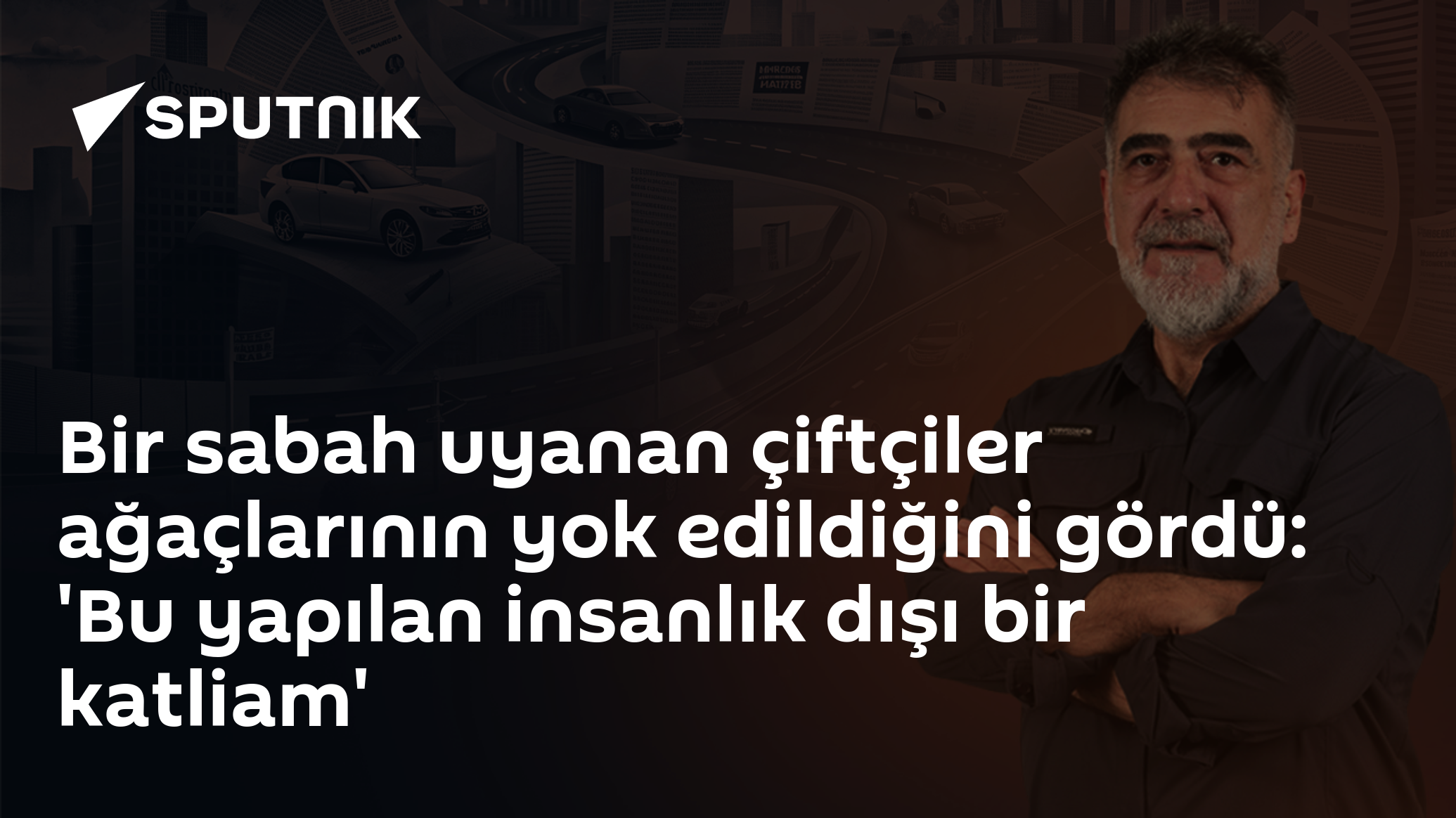 Bir sabah uyanan çiftçiler ağaçlarının yok edildiğini gördü: 'Bu yapılan insanlık dışı bir katliam'