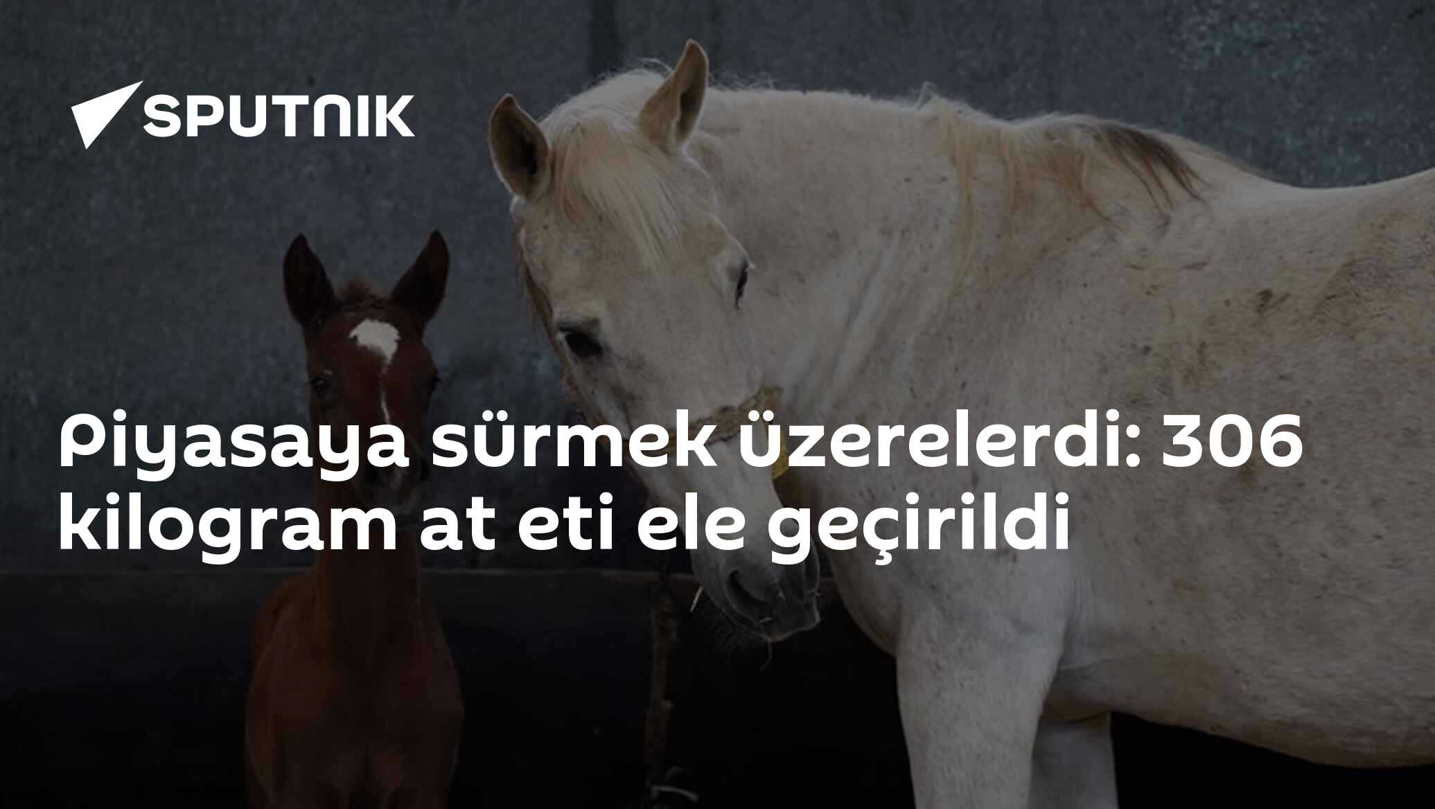 Piyasaya sürmek üzerelerdi: 306 kilogram at eti ele geçirildi
