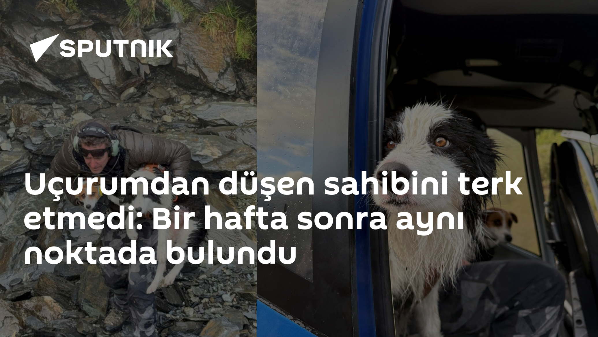 Uçurumdan düşen sahibini terk etmedi: Bir hafta sonra aynı noktada bulundu