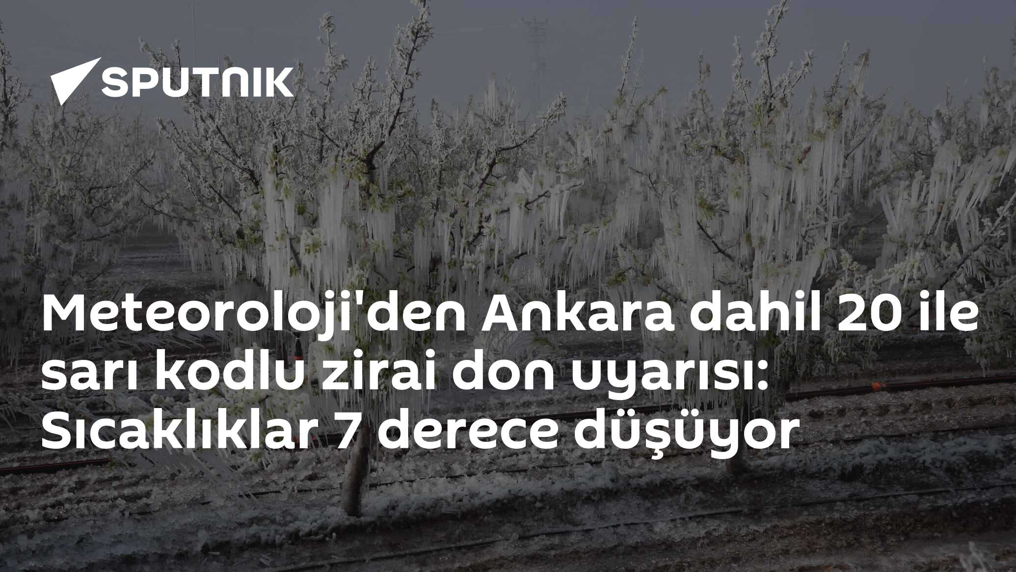 Meteoroloji'den Ankara dahil 20 ile sarı kodlu zirai don uyarısı: Sıcaklıklar 7 derece düşüyor
