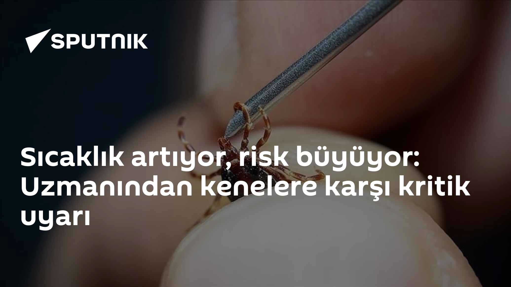 Sıcaklık artıyor, risk büyüyor: Uzmanından kenelere karşı kritik uyarı