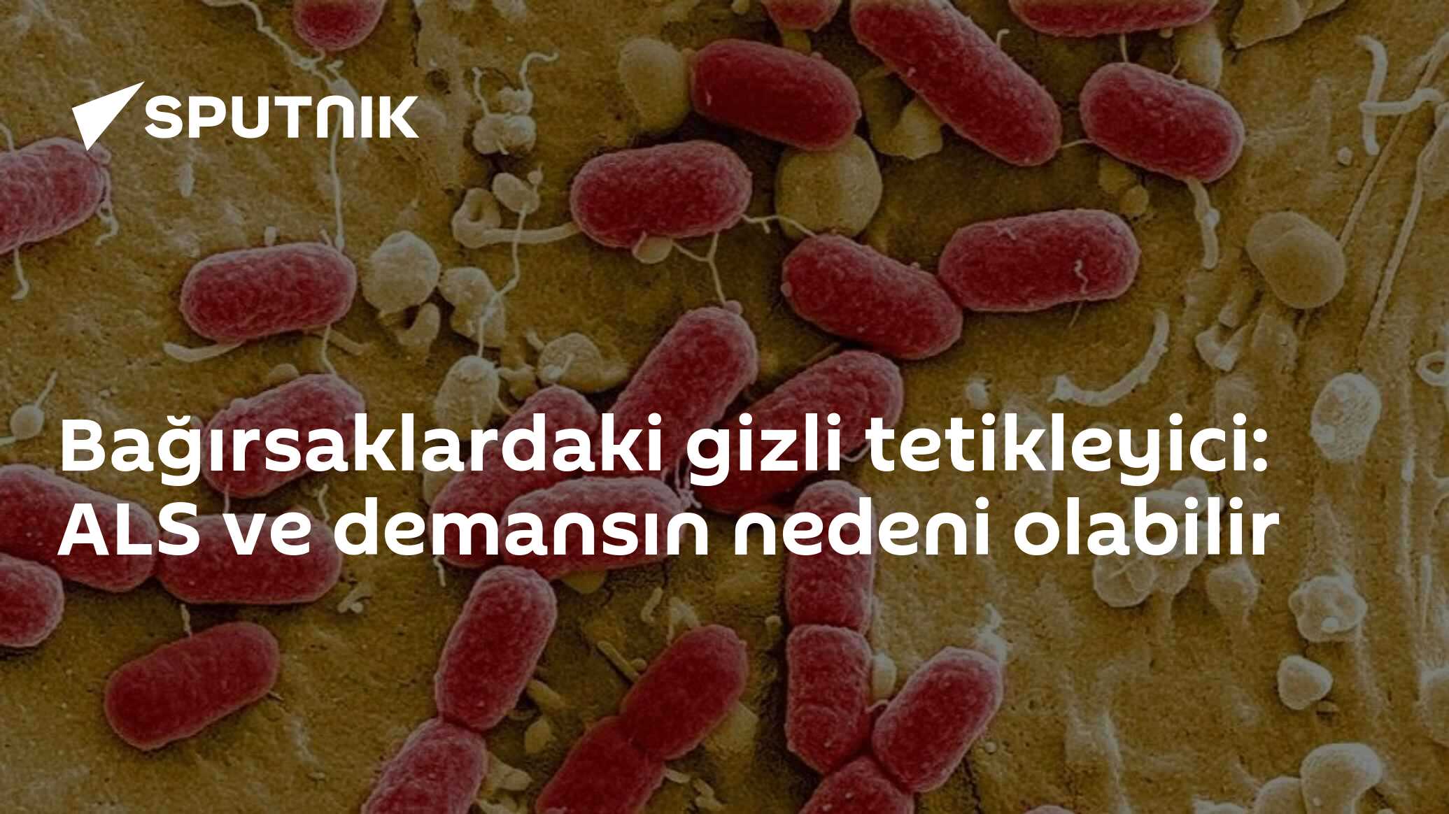 Bağırsaklardaki gizli tetikleyici: ALS ve demansın nedeni olabilir