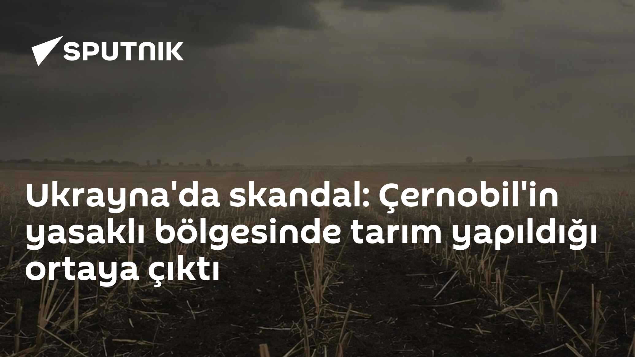 Ukrayna'da skandal: Çernobil'in yasaklı bölgesinde tarım yapıldığı ortaya çıktı