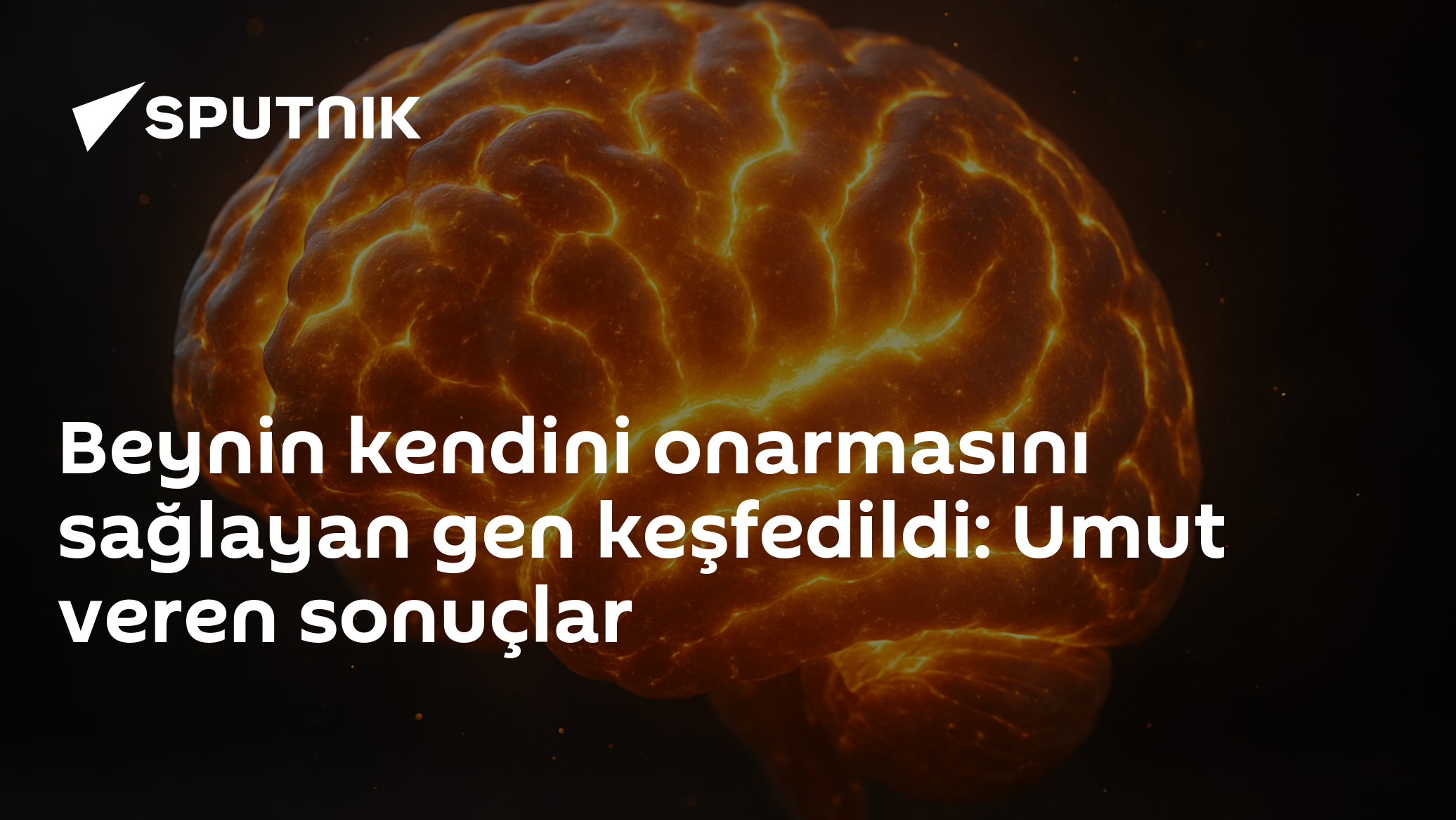 Beynin kendini onarmasını sağlayan gen keşfedildi: Umut veren sonuçlar