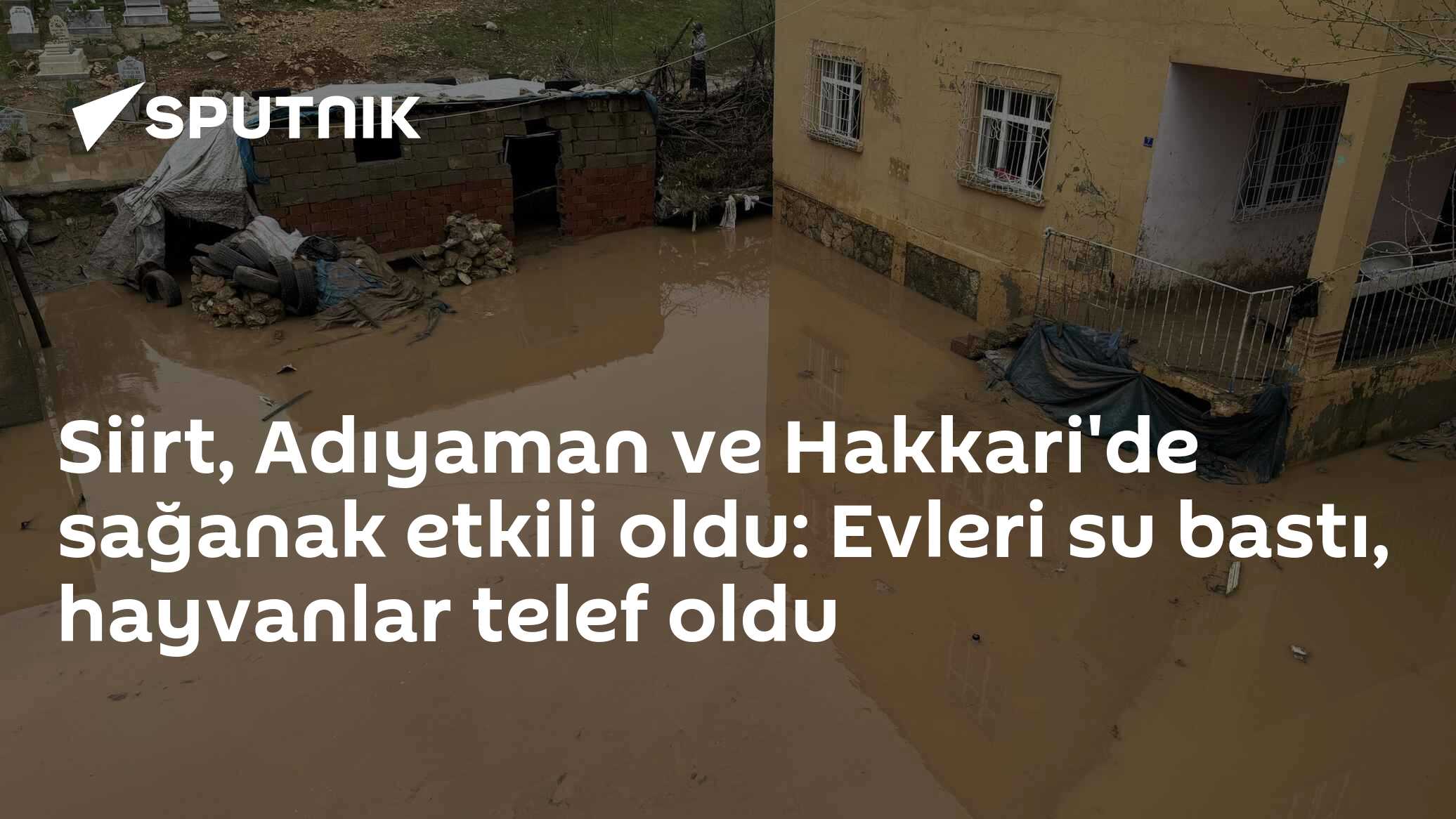 Siirt, Adıyaman ve Hakkari'de sağanak etkili oldu: Evleri su bastı, hayvanlar telef oldu