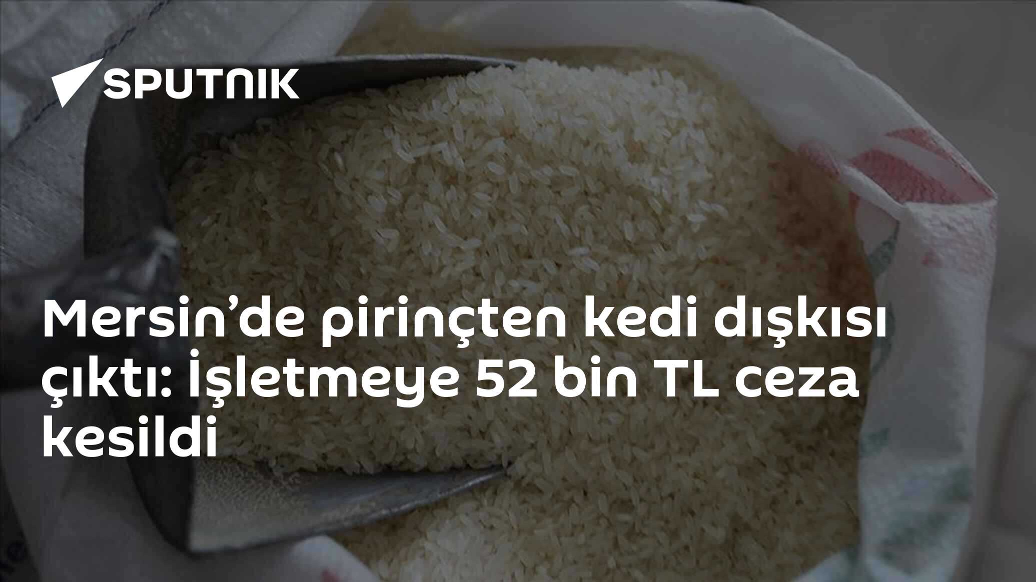 Mersin’de pirinçten kedi dışkısı çıktı: İşletmeye 52 bin TL ceza kesildi