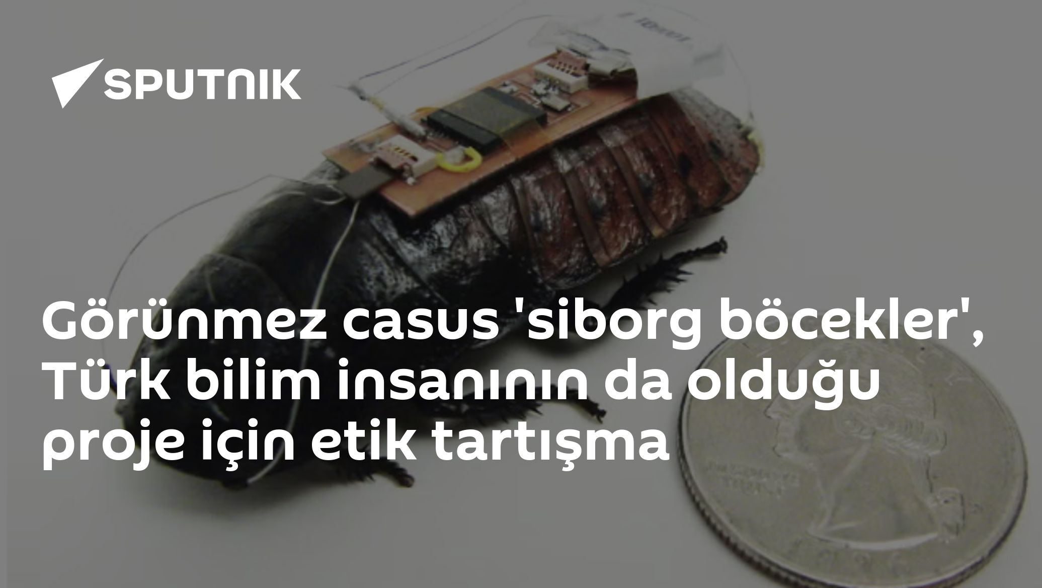 Görünmez casus 'siborg böcekler', Türk bilim insanının da olduğu proje için etik tartışma