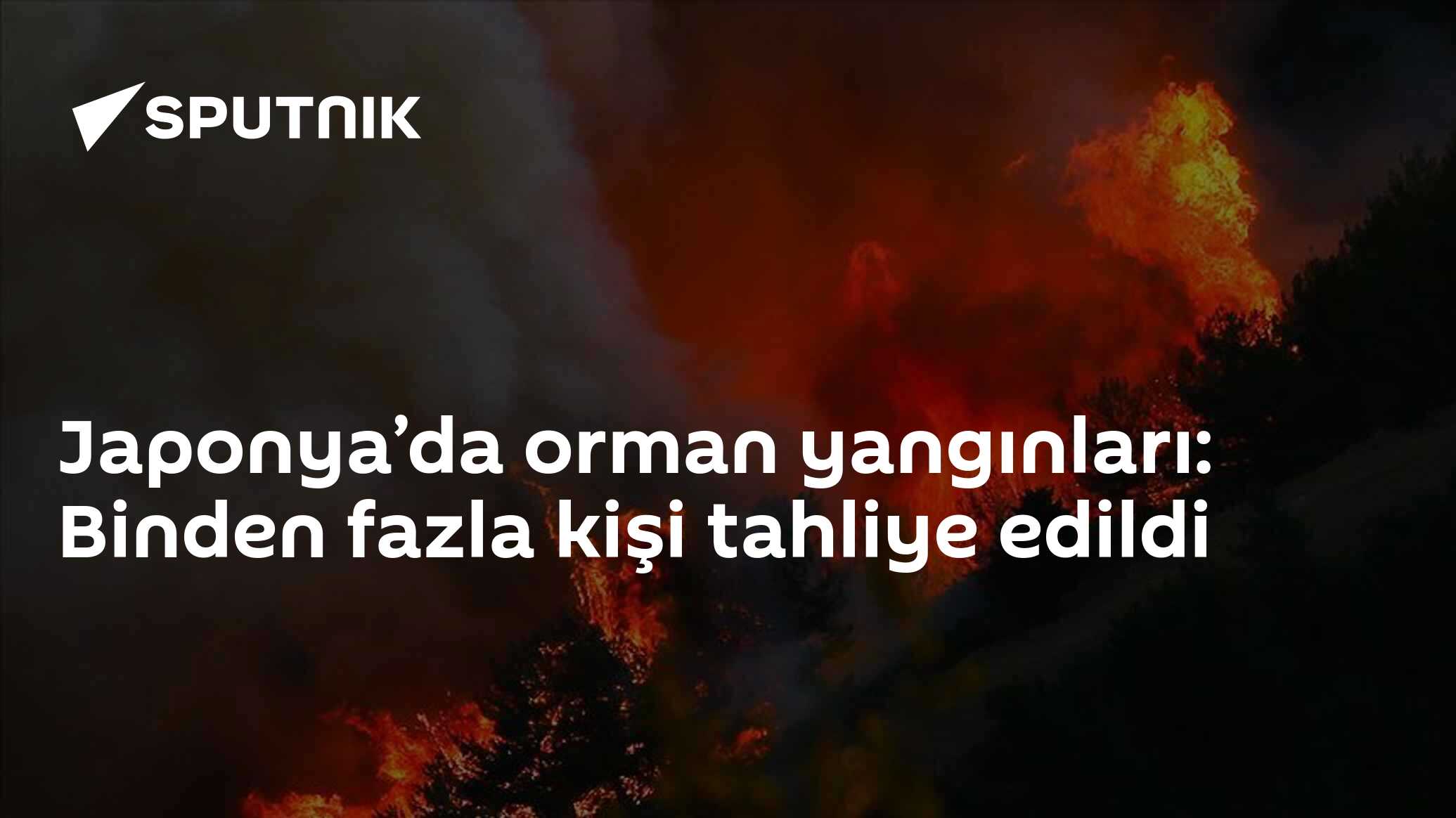Japonya’da orman yangınları: Binden fazla kişi tahliye edildi