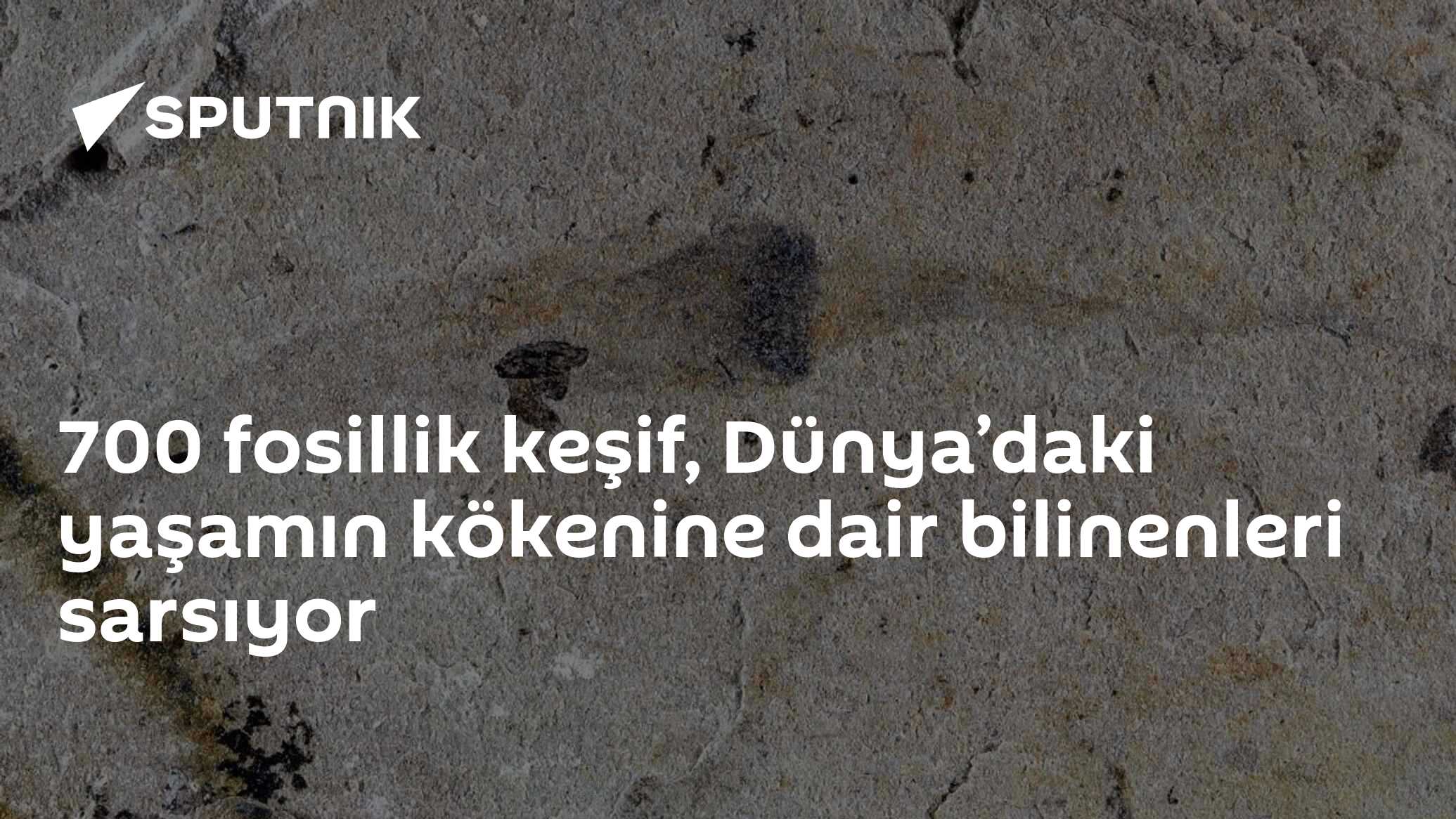 700 fosillik keşif, Dünya’daki yaşamın kökenine dair bilinenleri sarsıyor