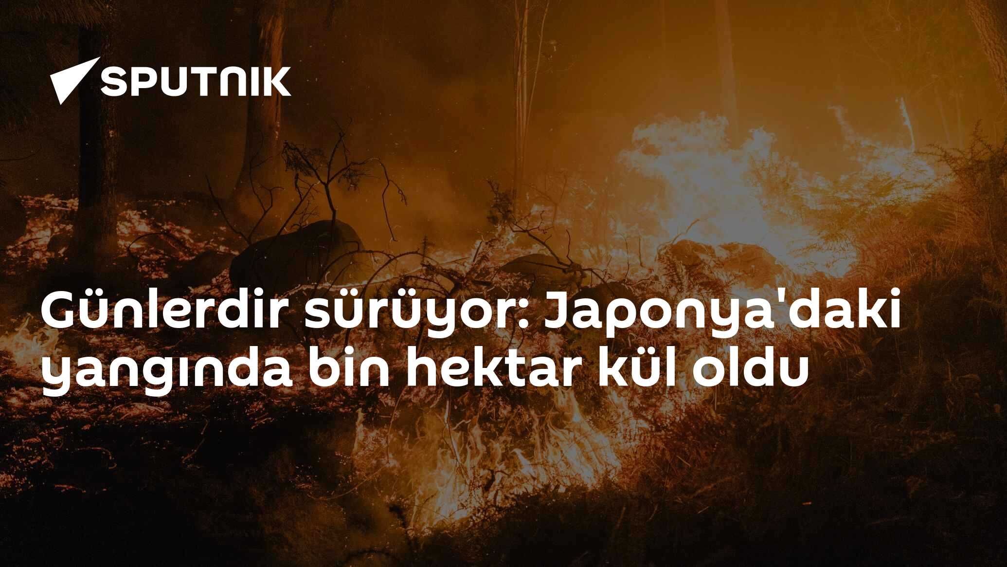 Günlerdir sürüyor: Japonya'daki yangında bin hektar kül oldu