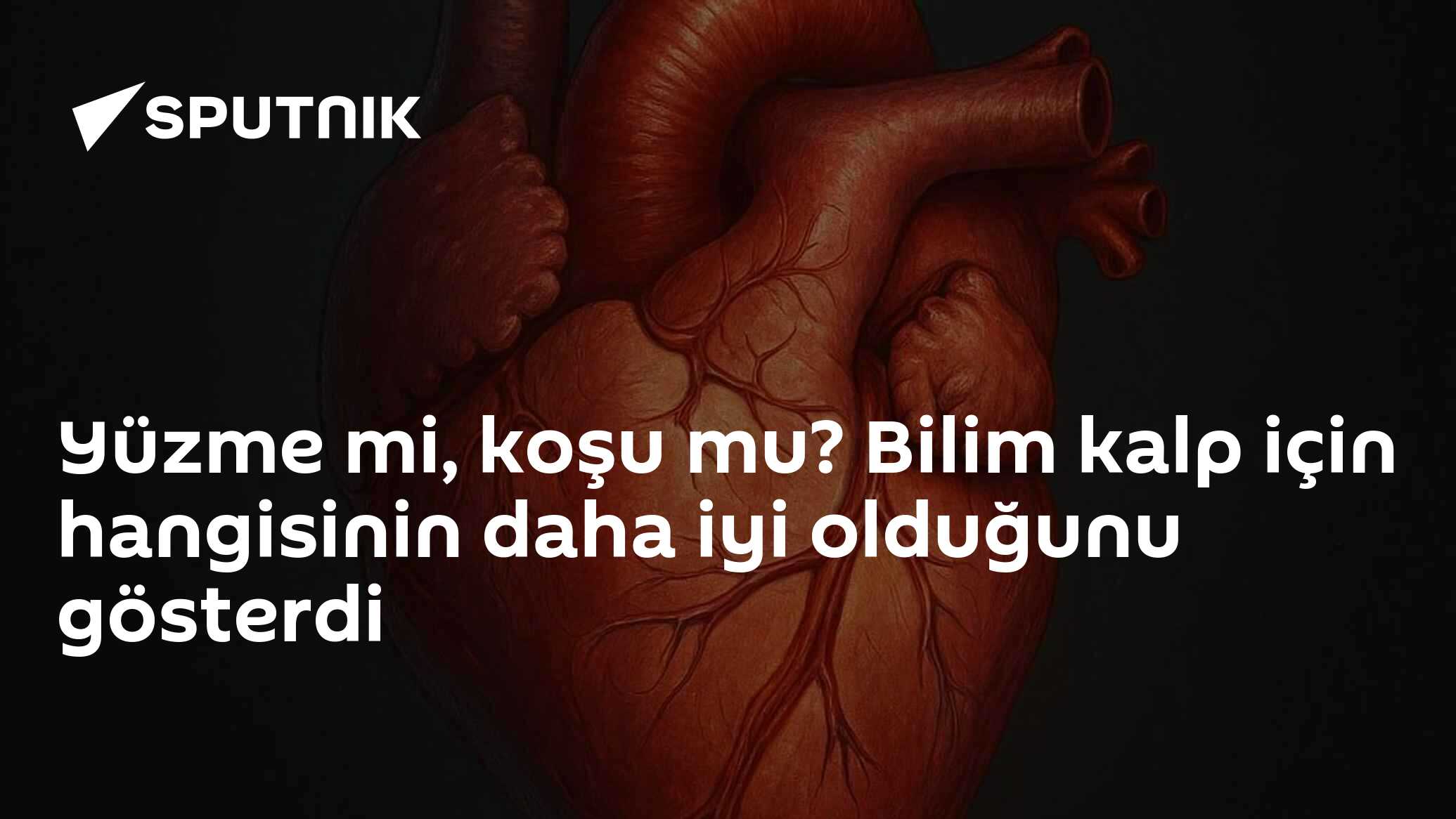 Yüzme mi, koşu mu? Bilim kalp için hangisinin daha iyi olduğunu gösterdi