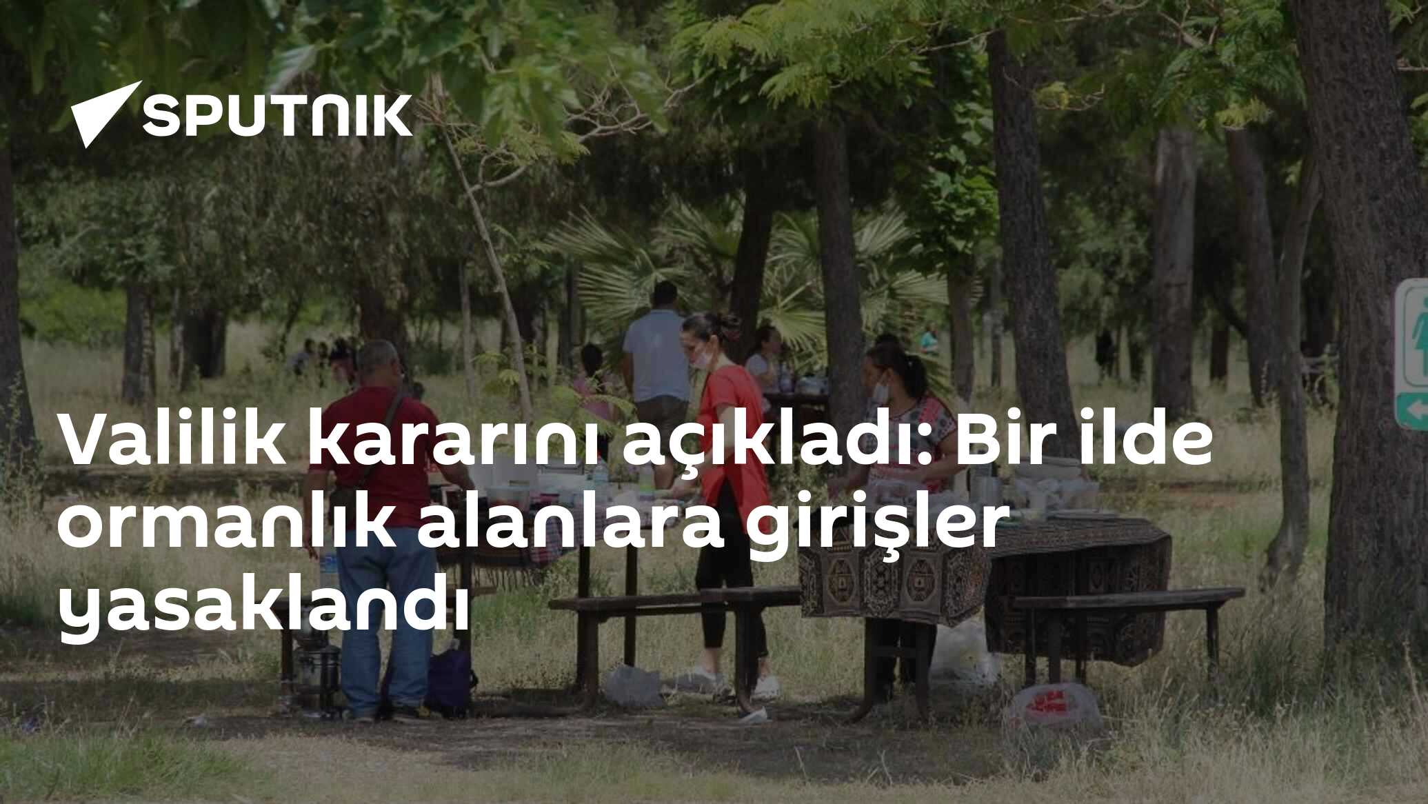 Valilik kararını açıkladı: Bir ilde ormanlık alanlara girişler yasaklandı