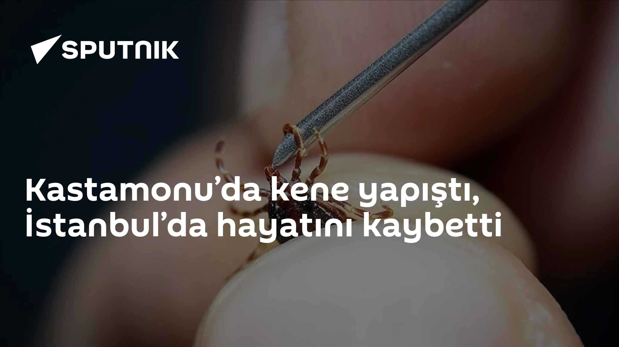 Kastamonu’da kene yapıştı, İstanbul’da hayatını kaybetti
