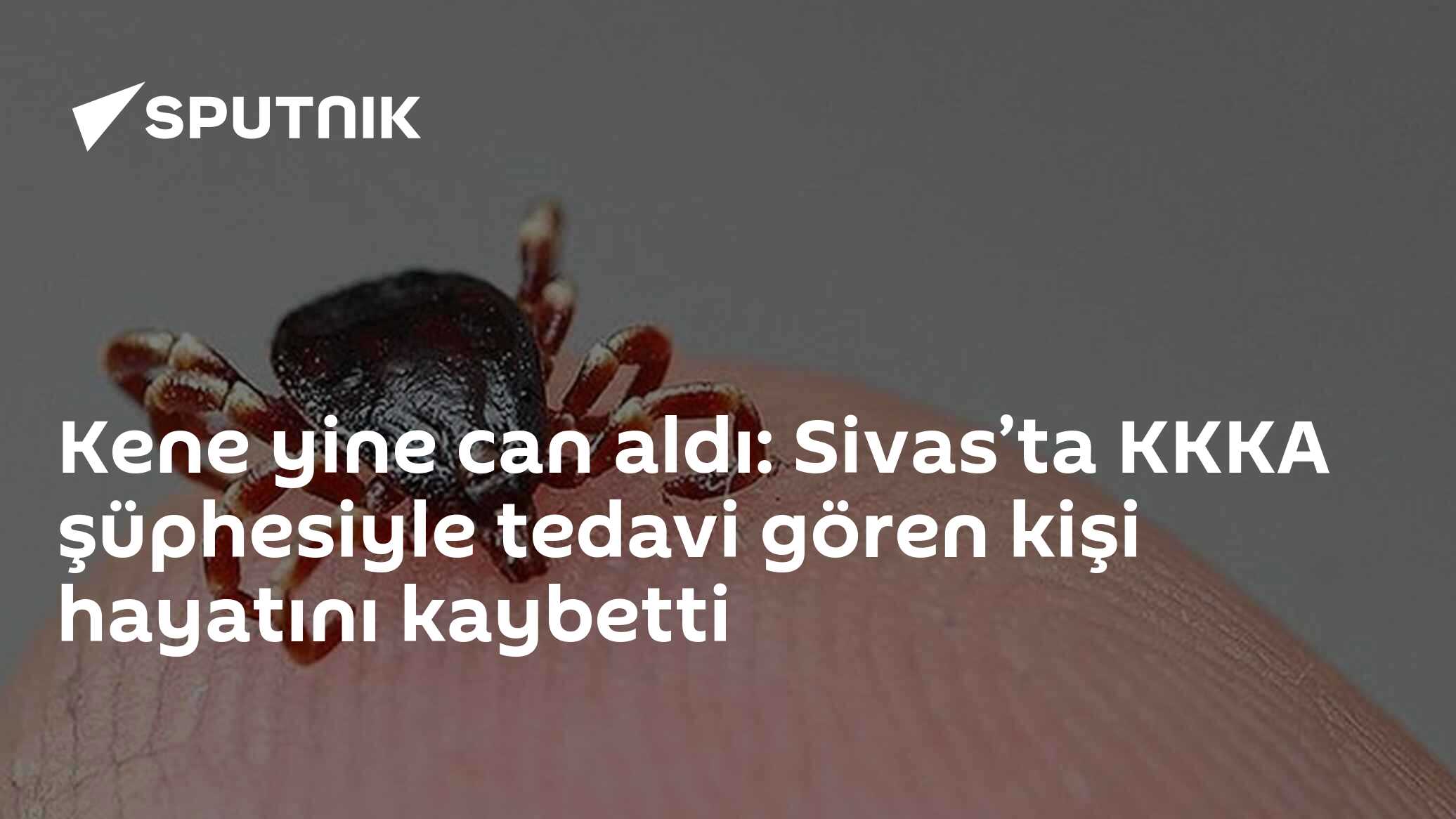 Kene yine can aldı: Sivas’ta KKKA şüphesiyle tedavi gören kişi hayatını kaybetti