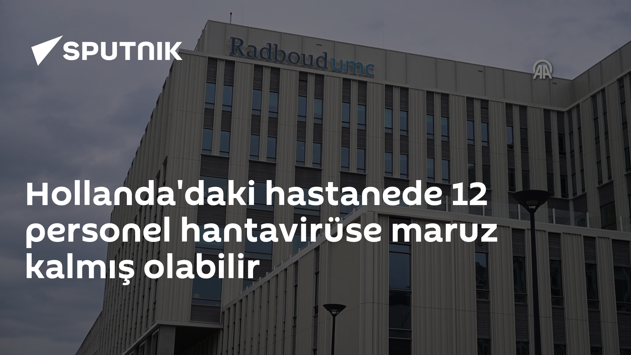Hollanda'daki hastanede 12 personel hantavirüse maruz kalmış olabilir