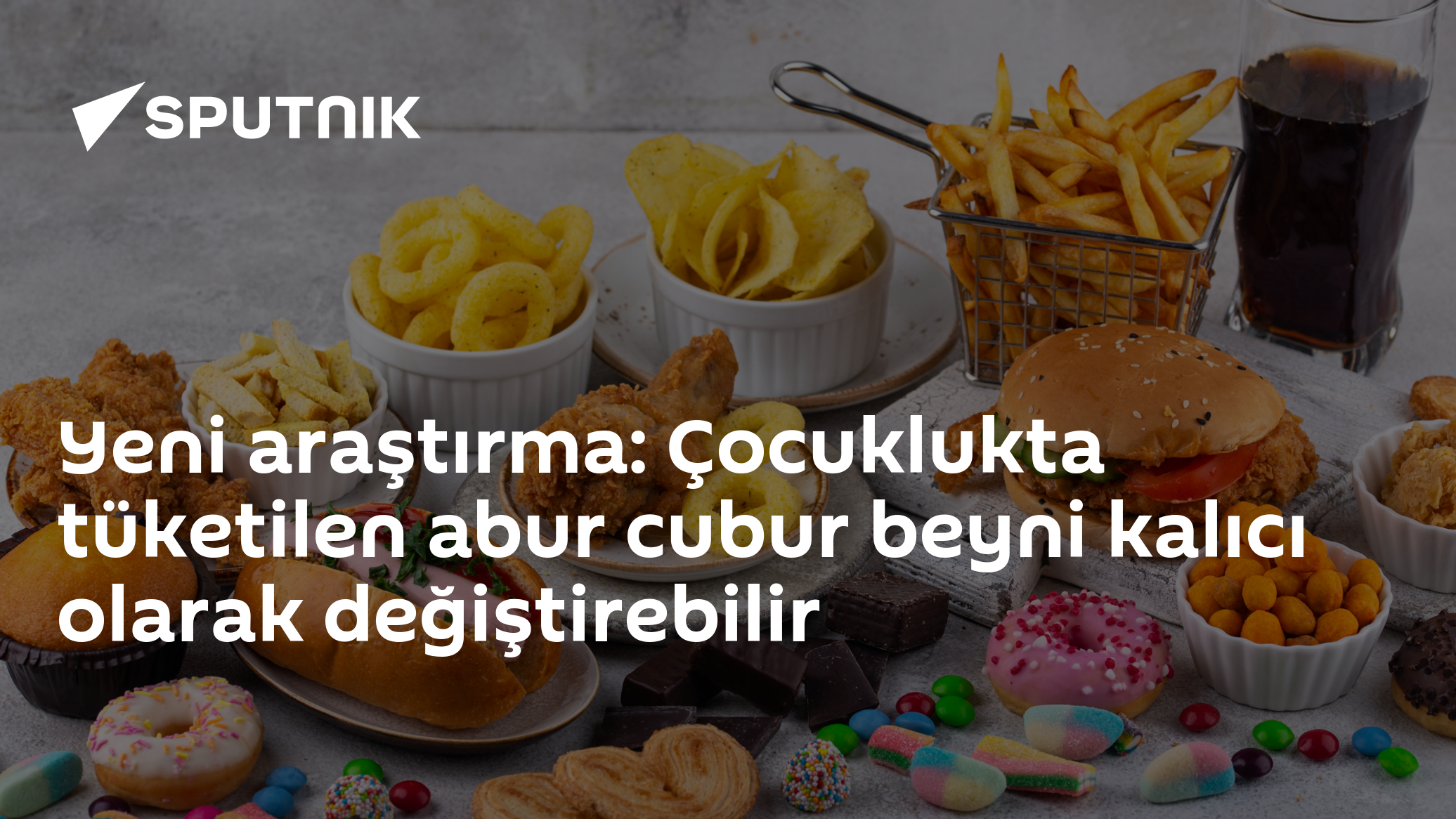 Yeni araştırma: Çocuklukta tüketilen abur cubur beyni kalıcı olarak değiştirebilir