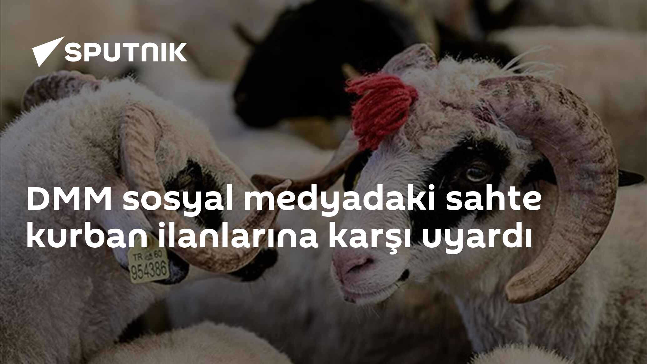 DMM sosyal medyadaki sahte kurban ilanlarına karşı uyardı