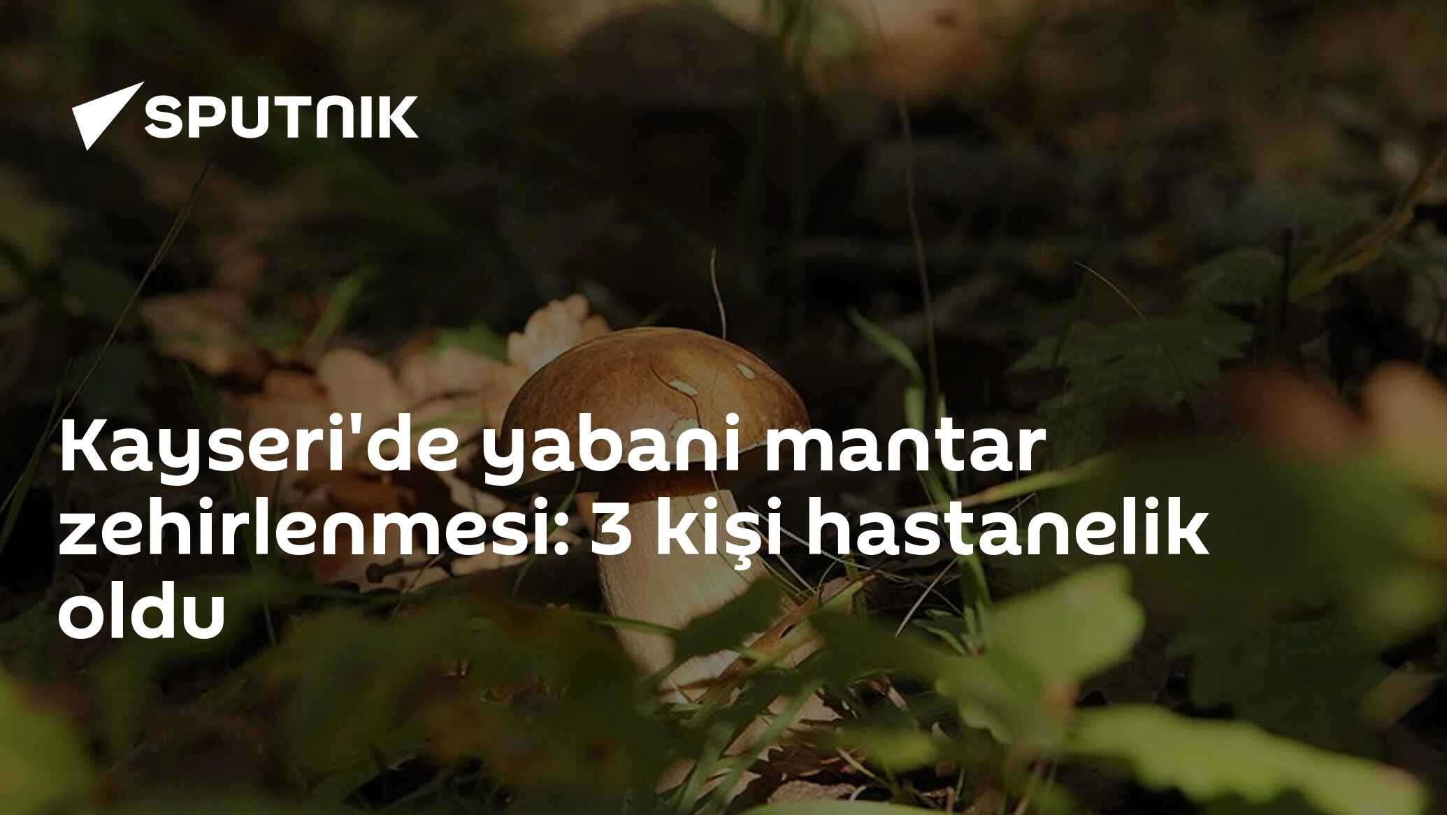 Kayseri'de yabani mantar zehirlenmesi: 3 kişi hastanelik oldu - 26.05. ...