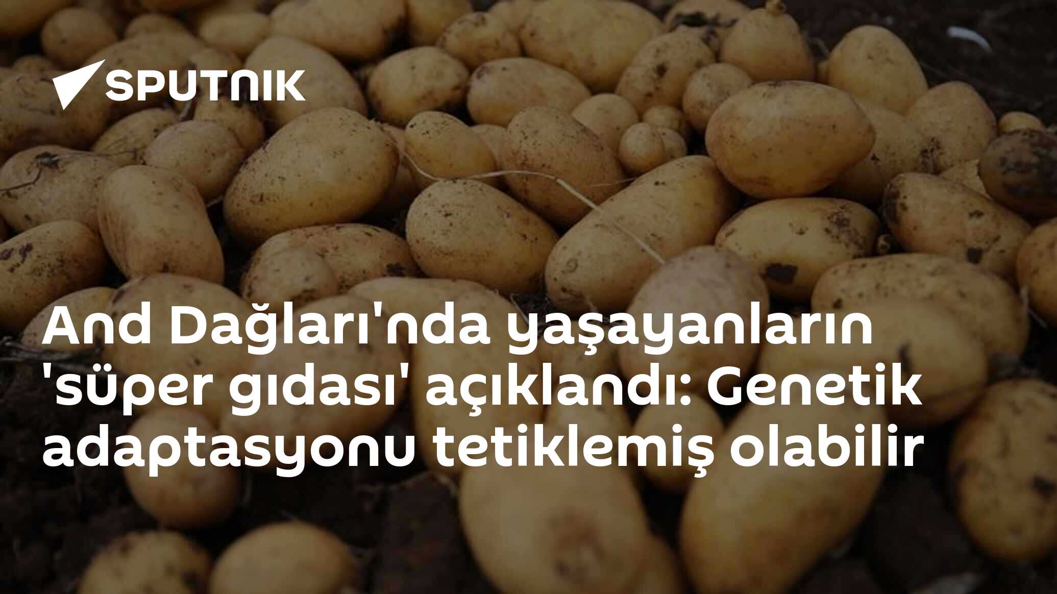 And Dağları'nda yaşayanların 'süper gıdası' açıklandı: Genetik adaptasyonu tetiklemiş olabilir